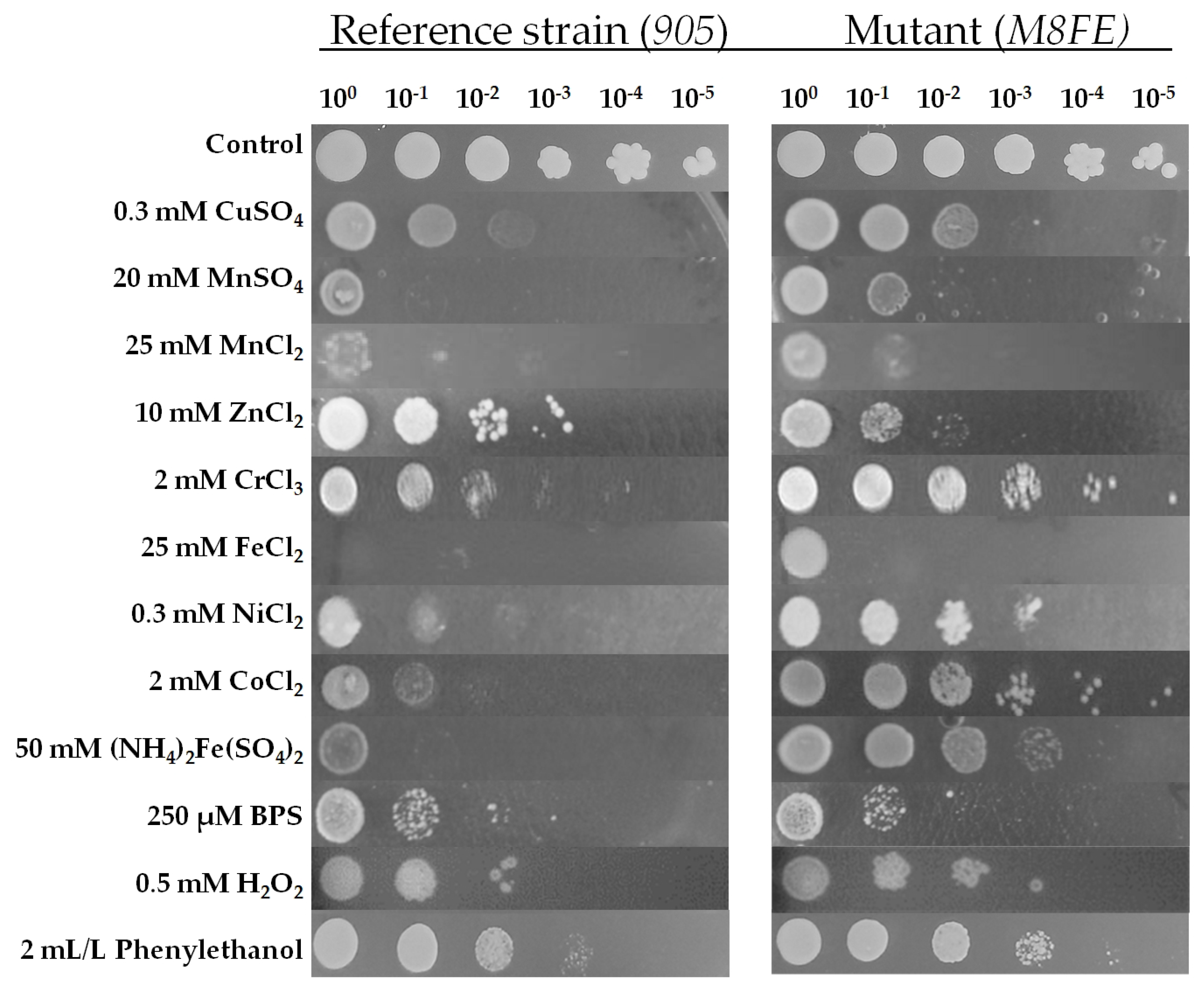 Microorganisms 08 00043 g002