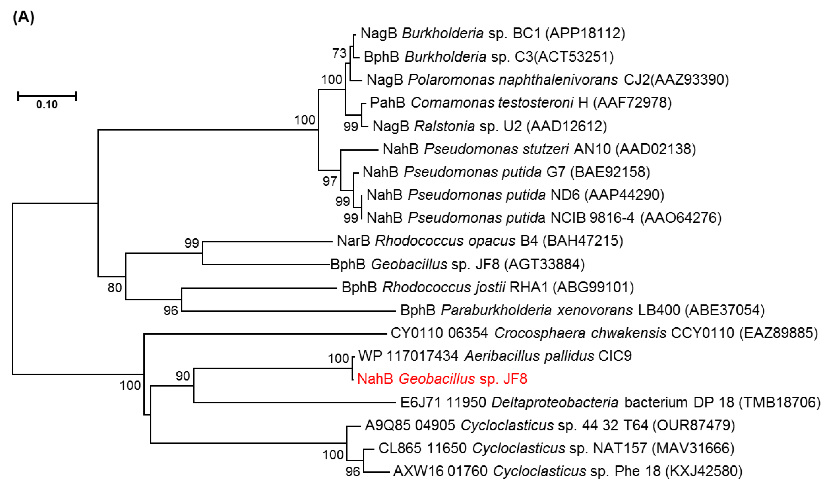 Microorganisms 08 00044 g003a