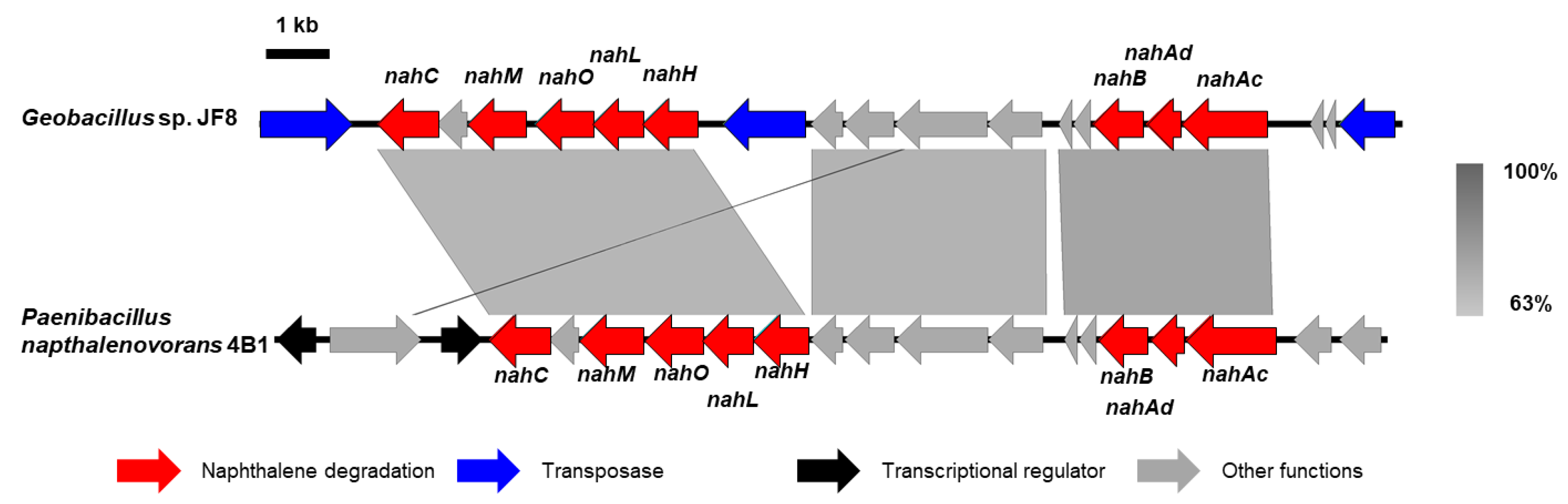 Microorganisms 08 00044 g005