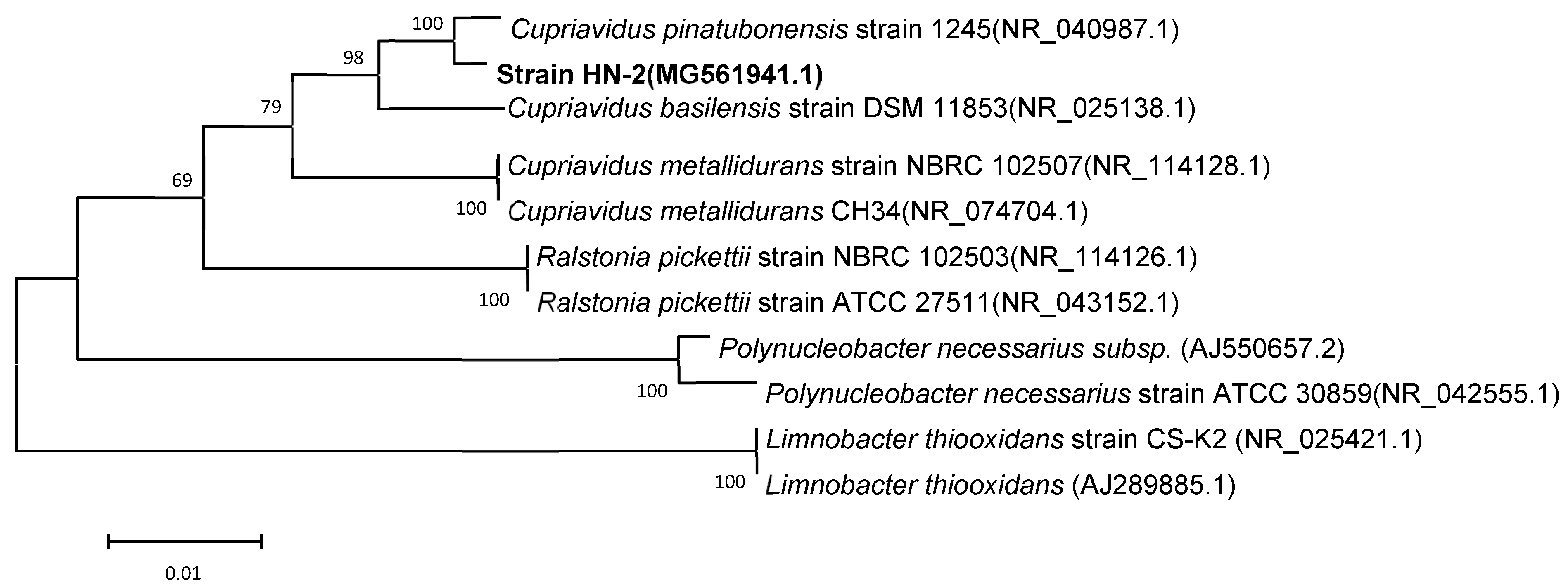 Microorganisms 08 00045 g003