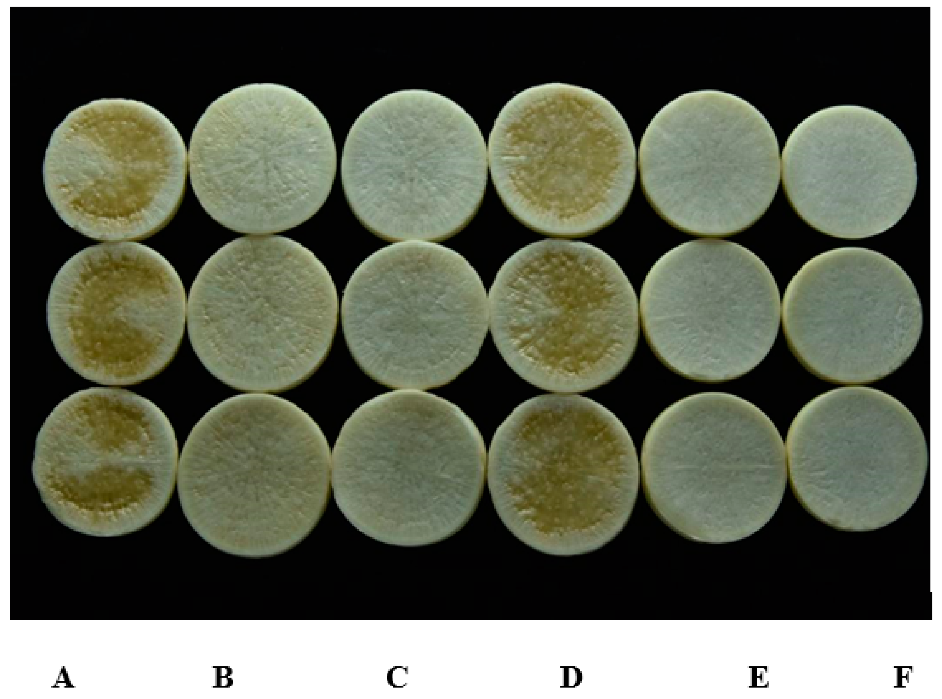 Microorganisms 08 00045 g006