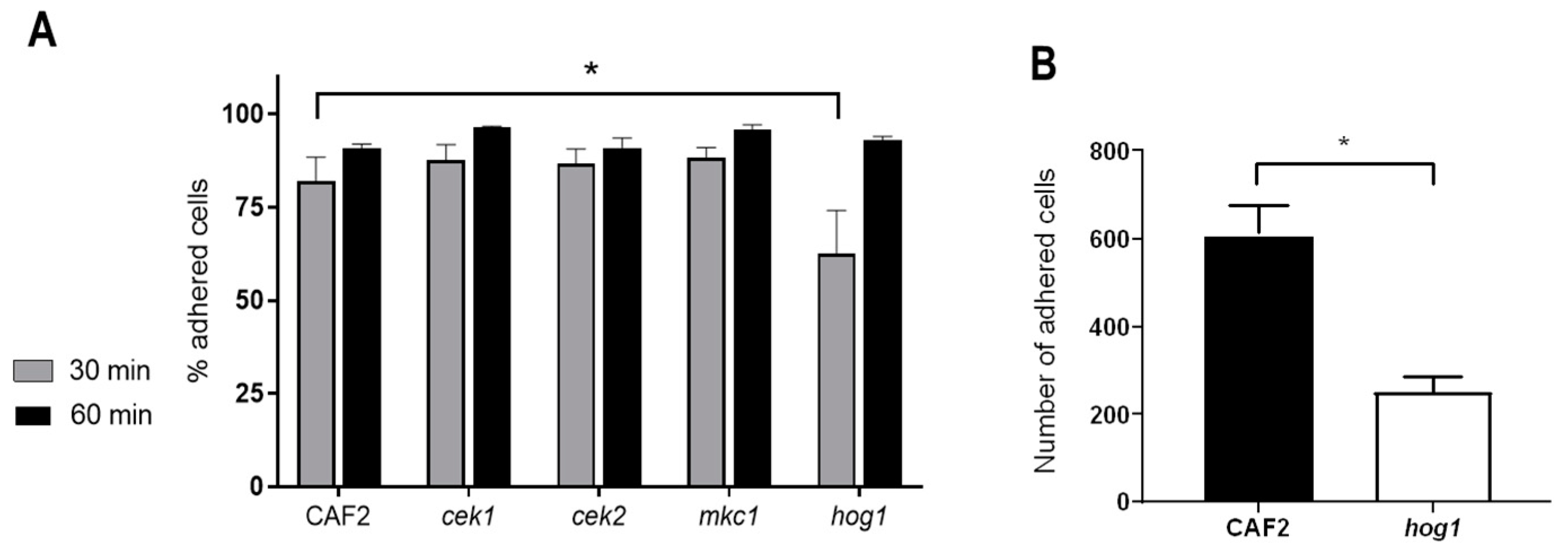 Microorganisms 08 00048 g001 Microorganisms 08 00048 g001