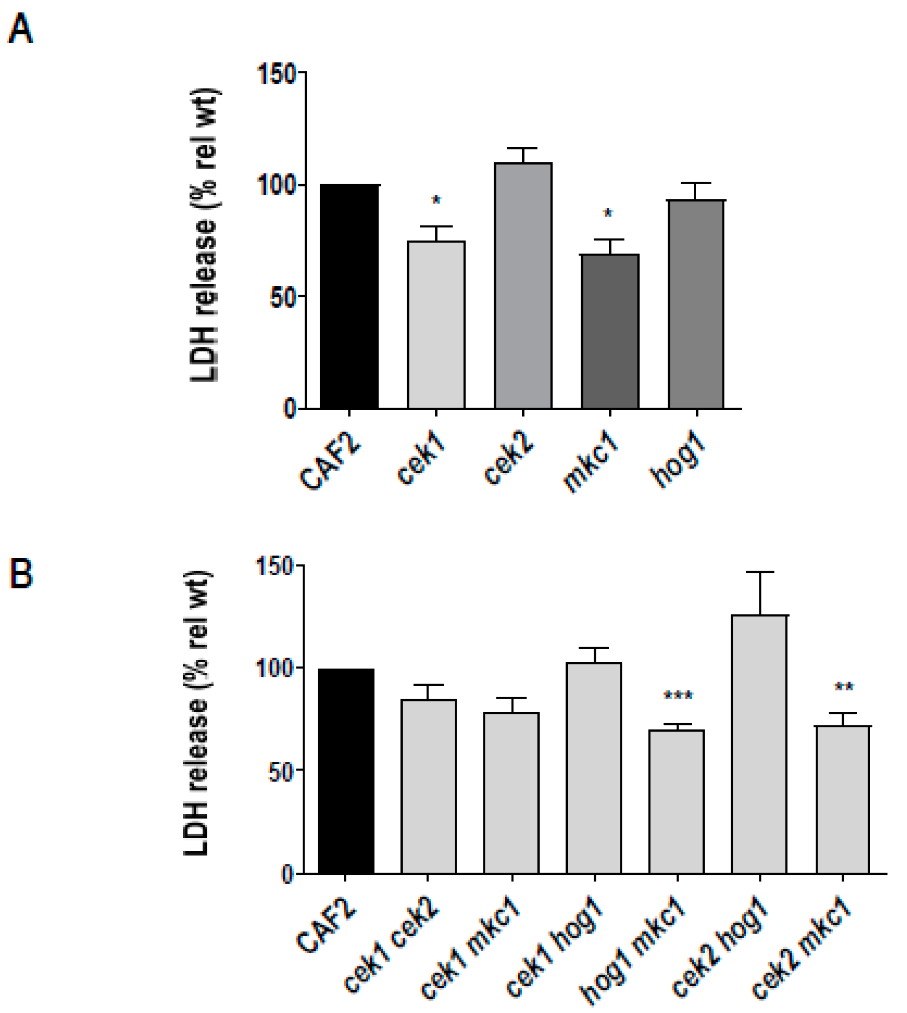 Microorganisms 08 00048 g004 Microorganisms 08 00048 g004