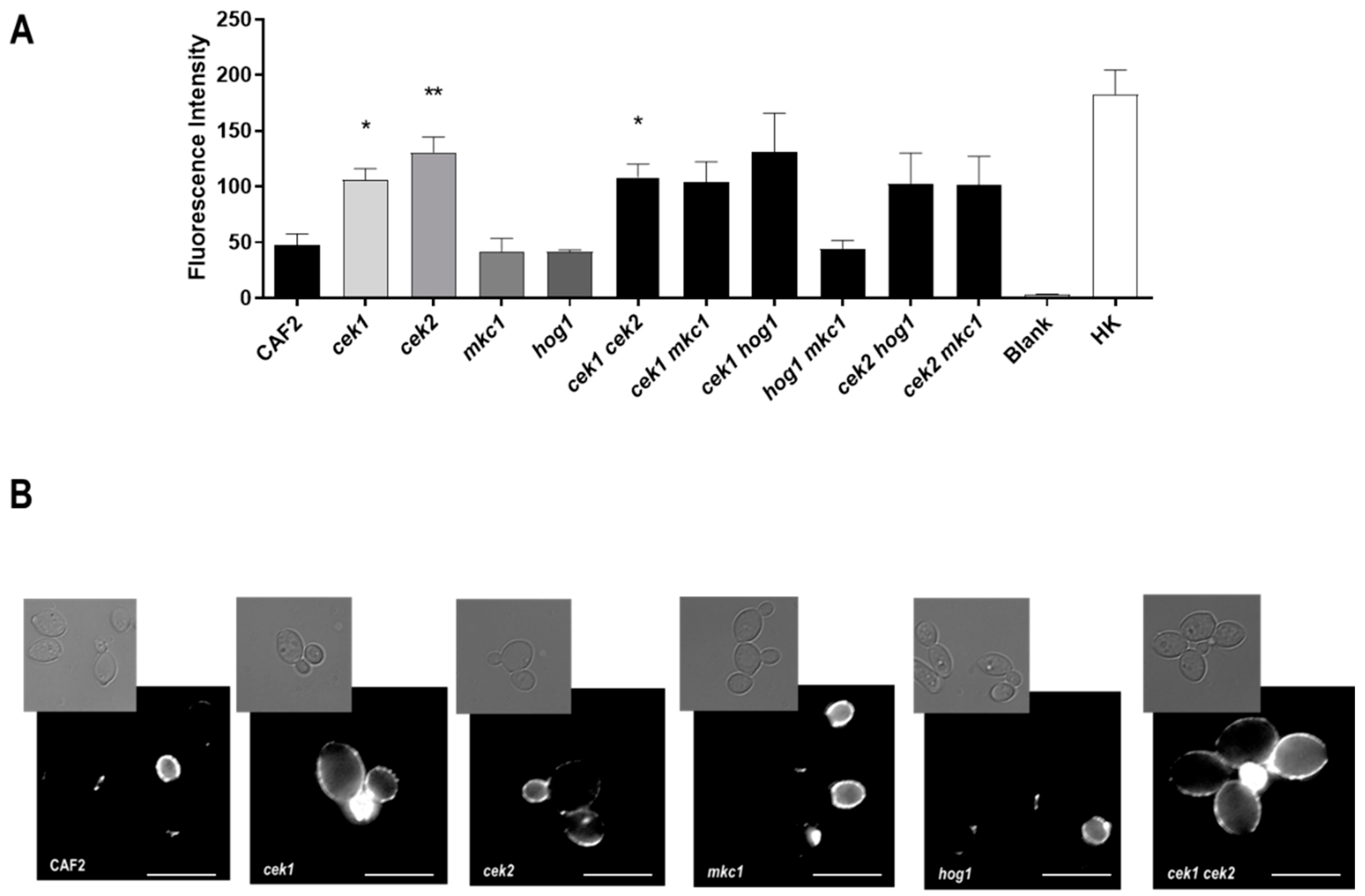 Microorganisms 08 00048 g005 Microorganisms 08 00048 g005