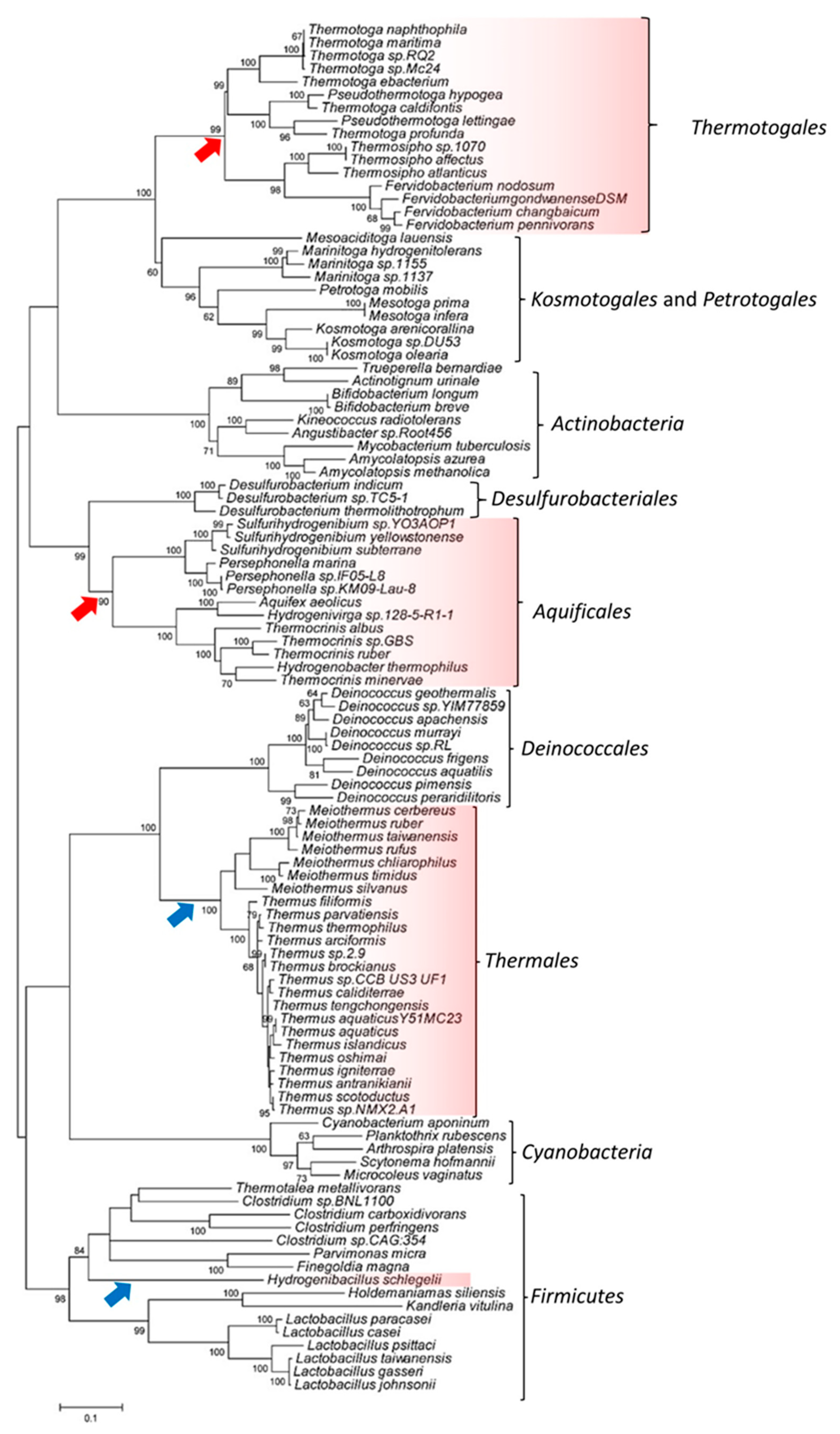 Microorganisms 08 00059 g003