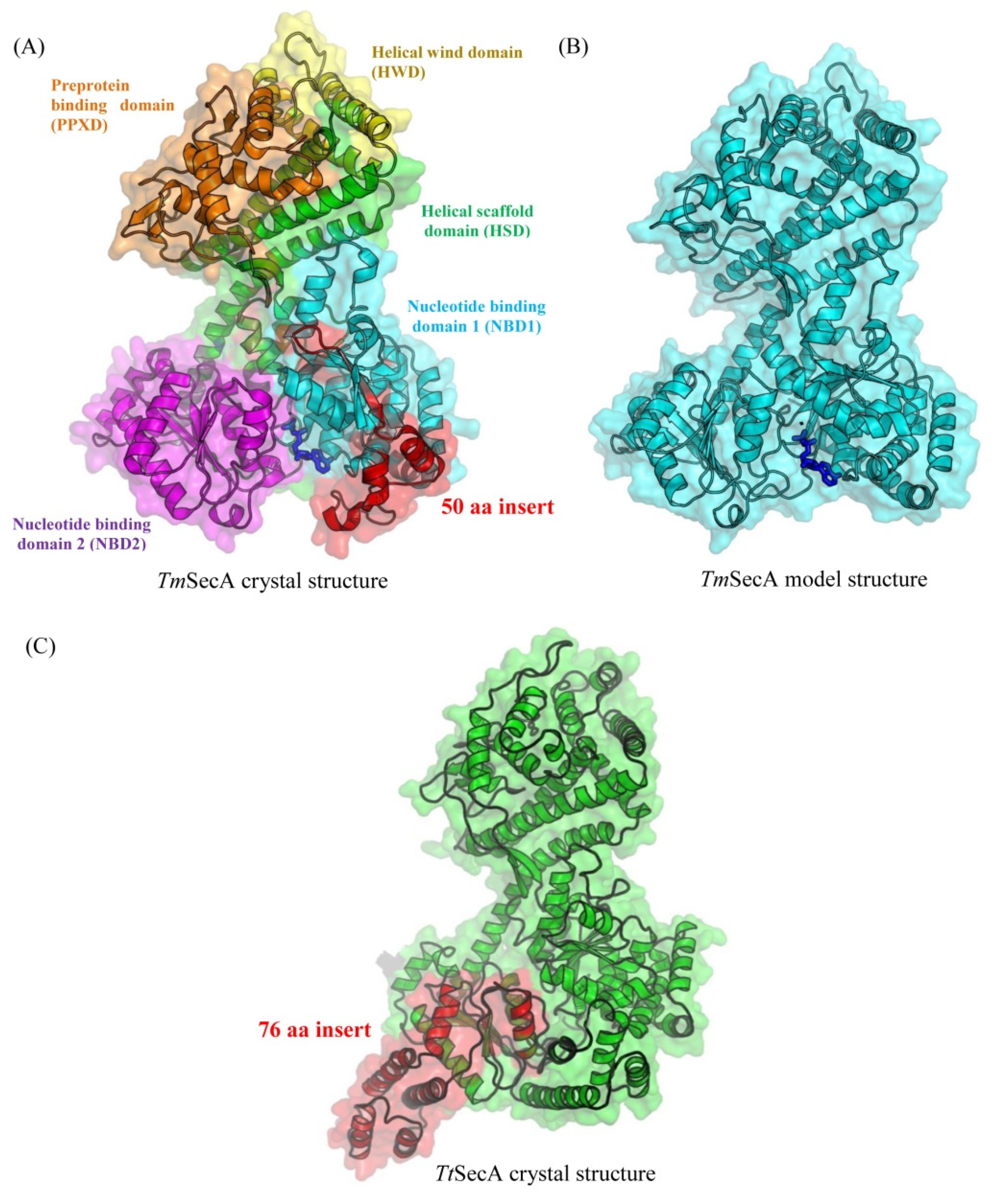Microorganisms 08 00059 g004
