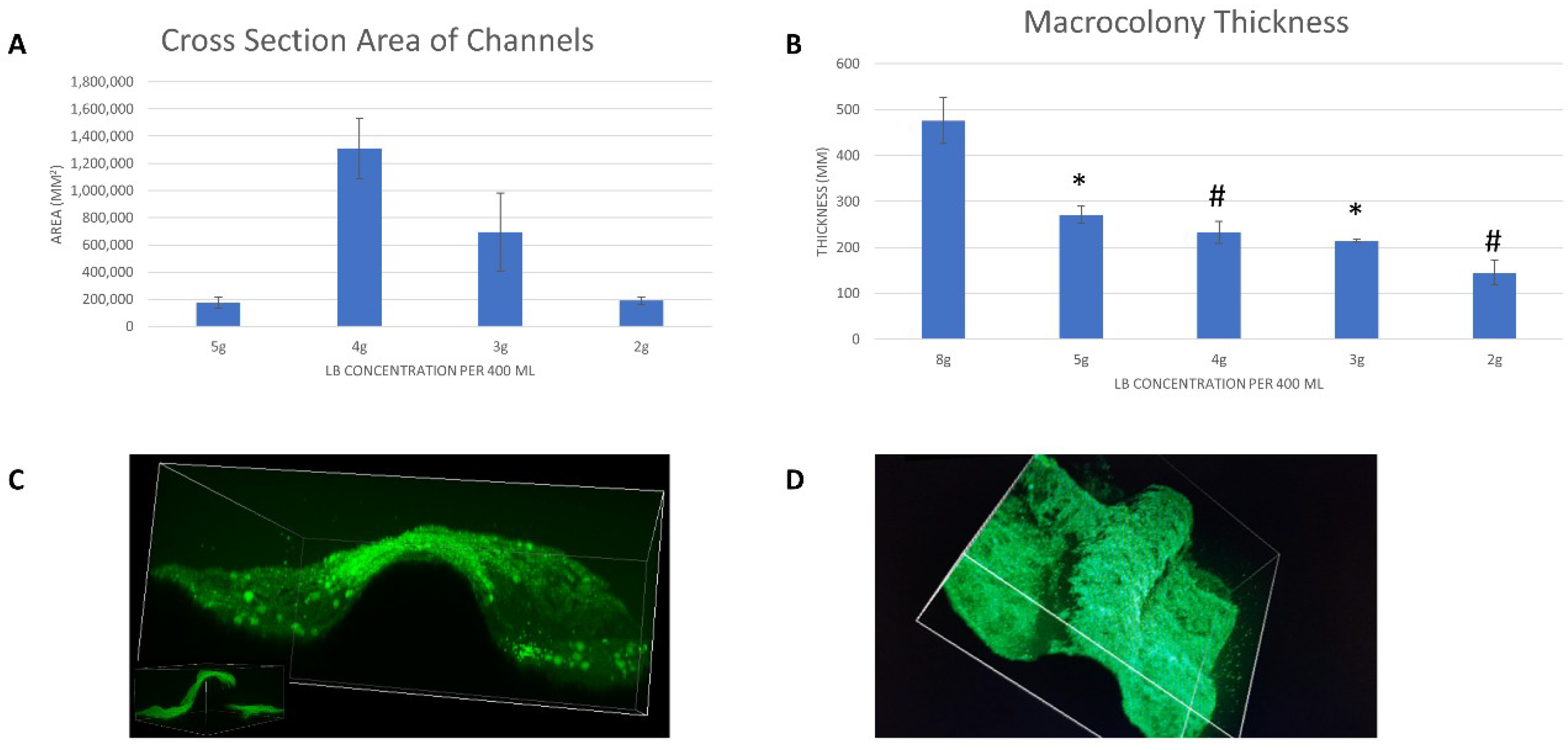 Microorganisms 08 00062 g004
