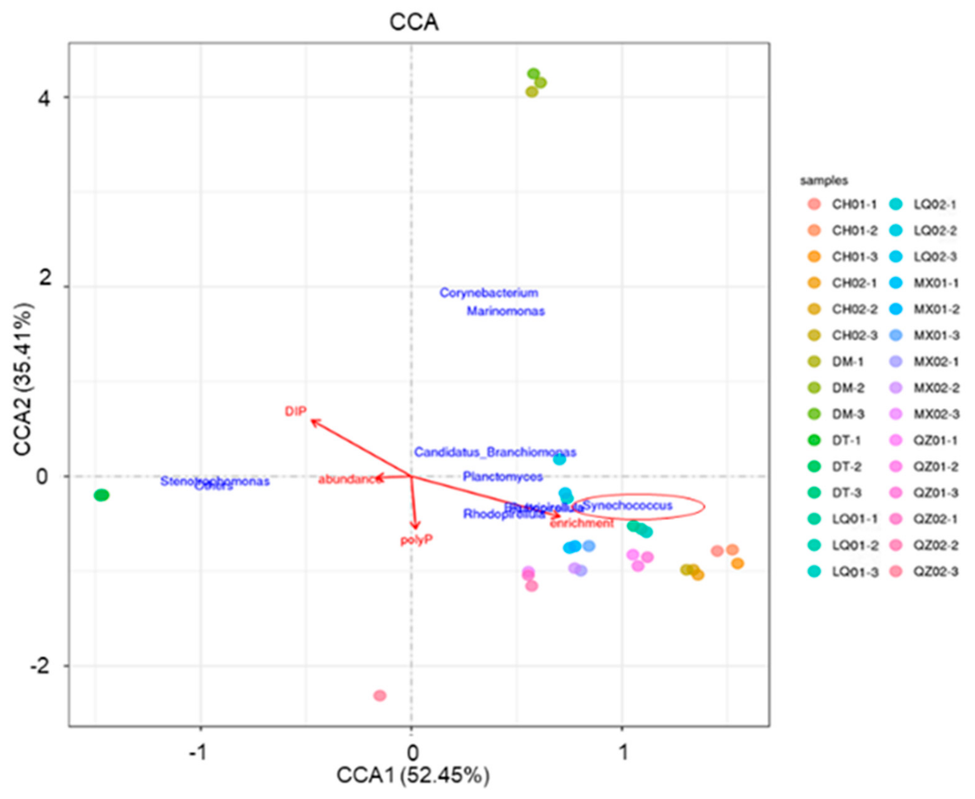 Microorganisms 08 00063 g004