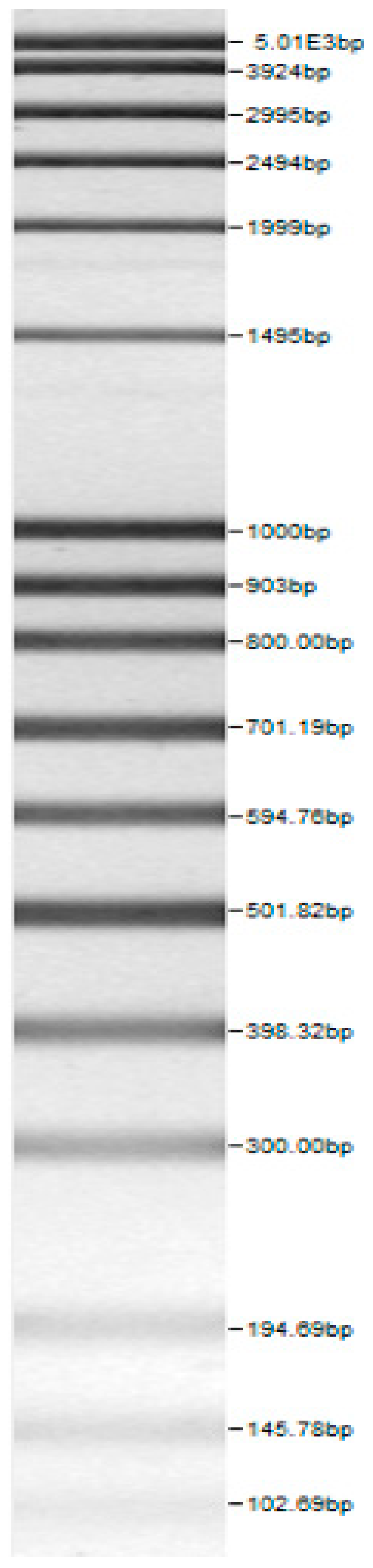 Microorganisms 08 00064 i001