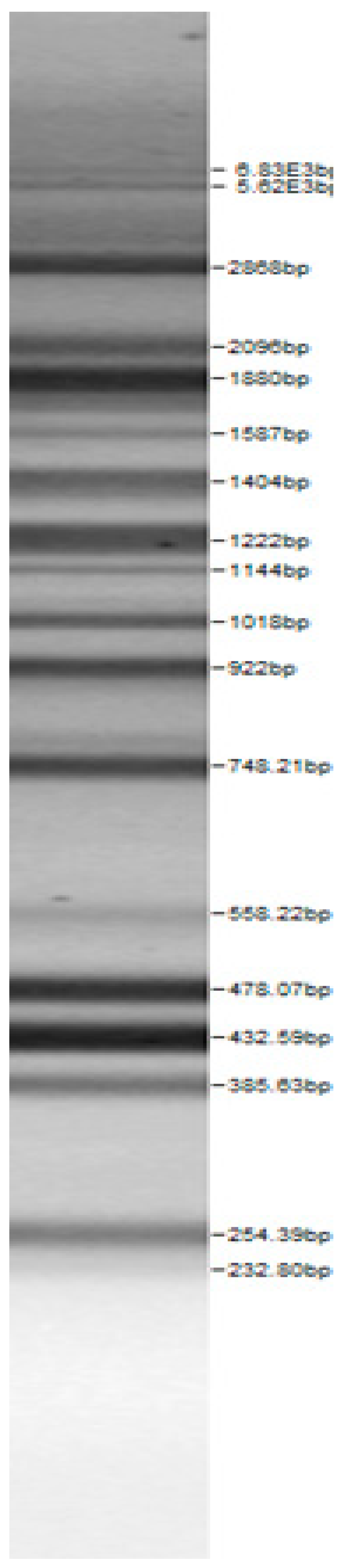 Microorganisms 08 00064 i002