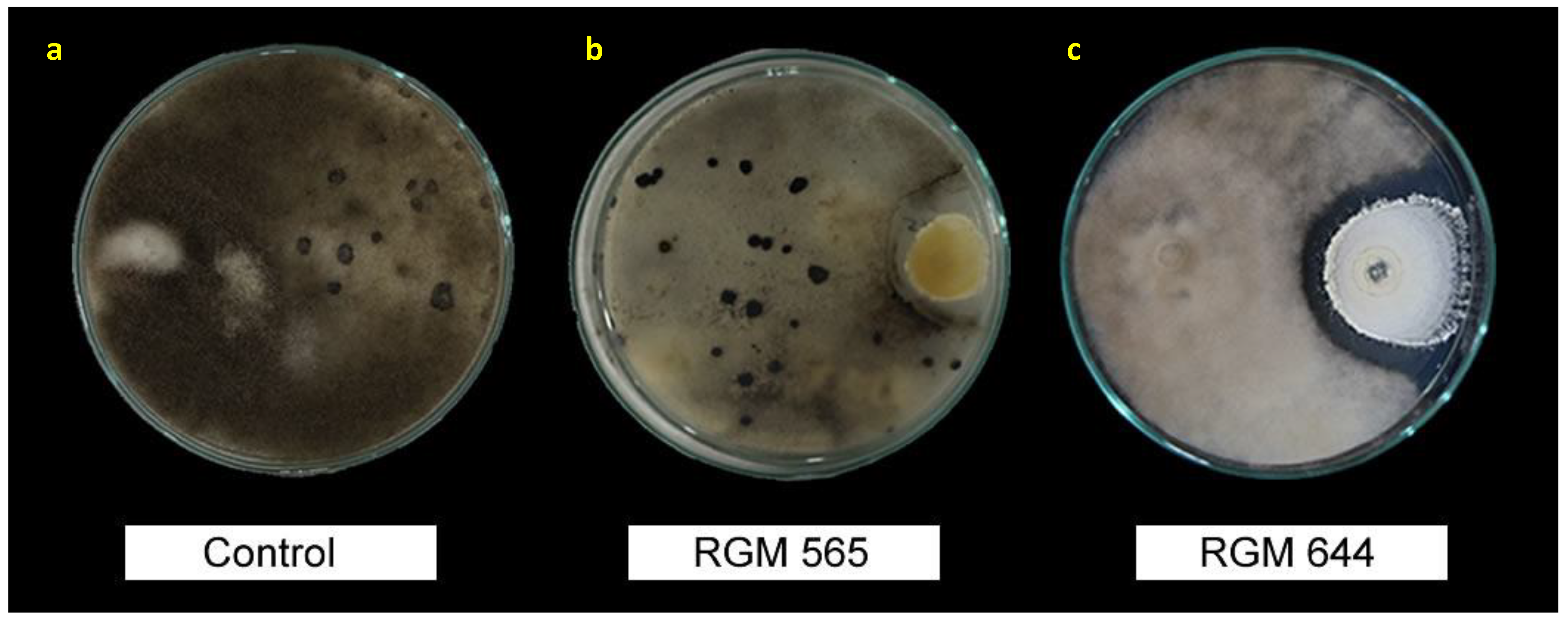 Microorganisms 08 00065 g003