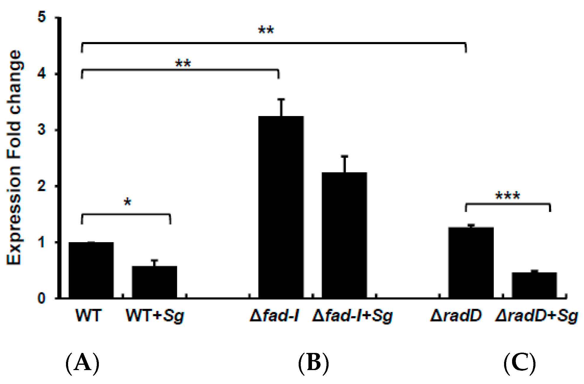Microorganisms 08 00070 g006