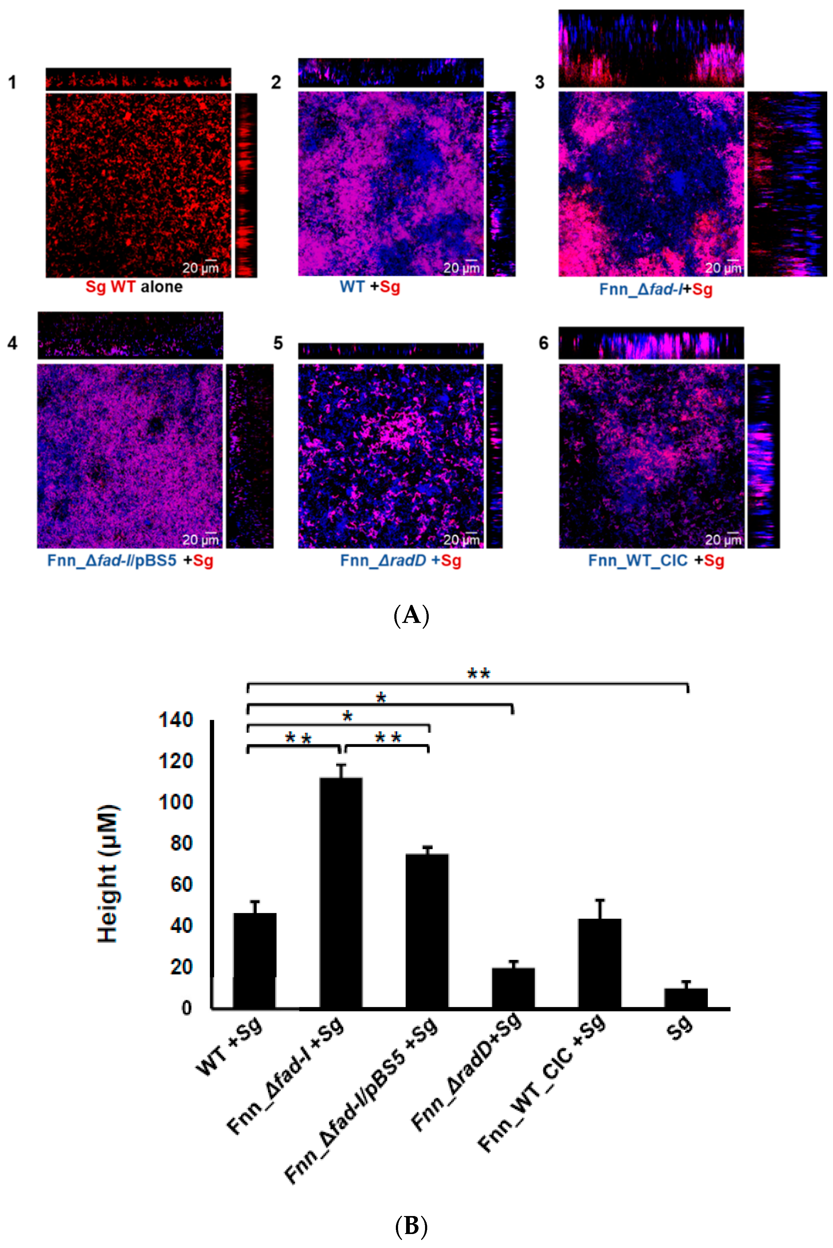 Microorganisms 08 00070 g008