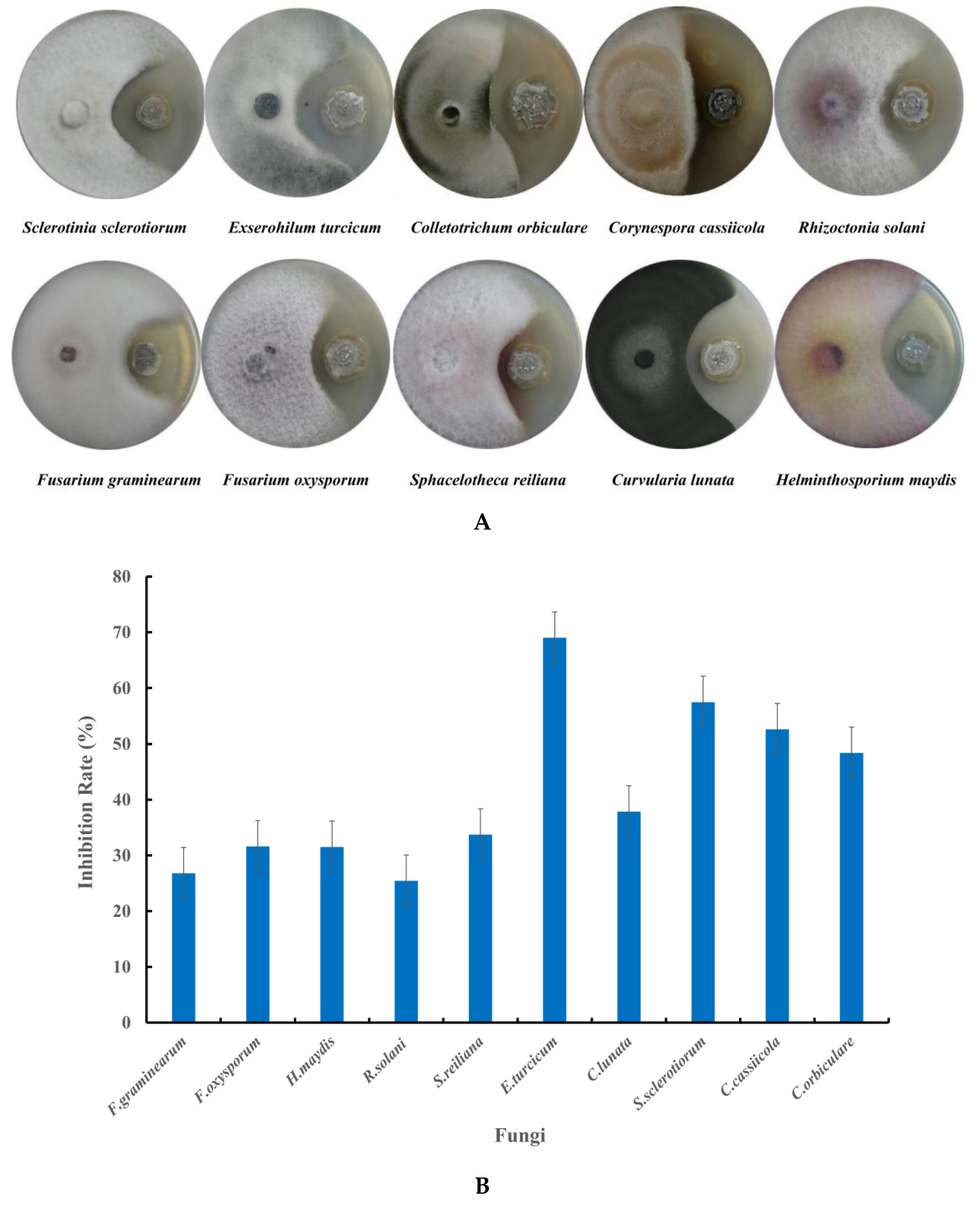 Microorganisms 08 00077 g004 Microorganisms 08 00077 g004