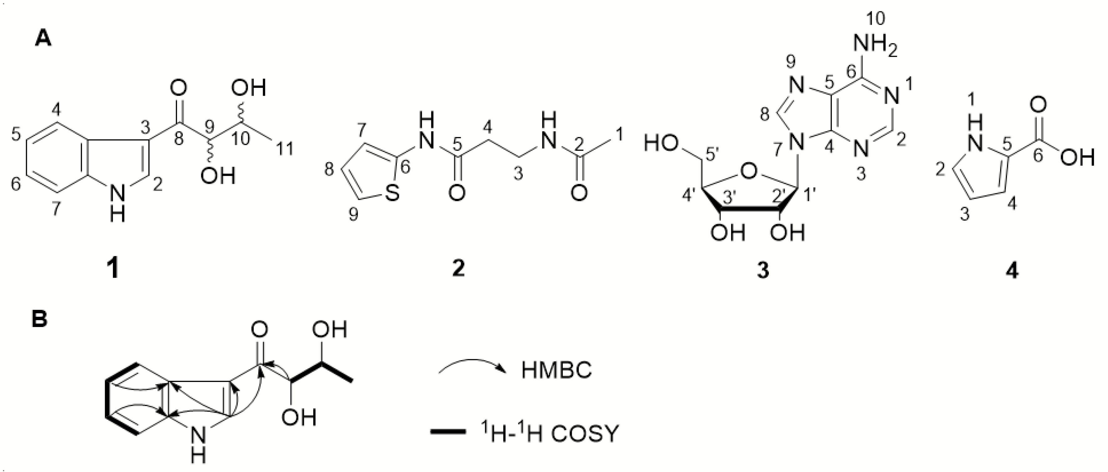 Microorganisms 08 00077 g005 Microorganisms 08 00077 g005