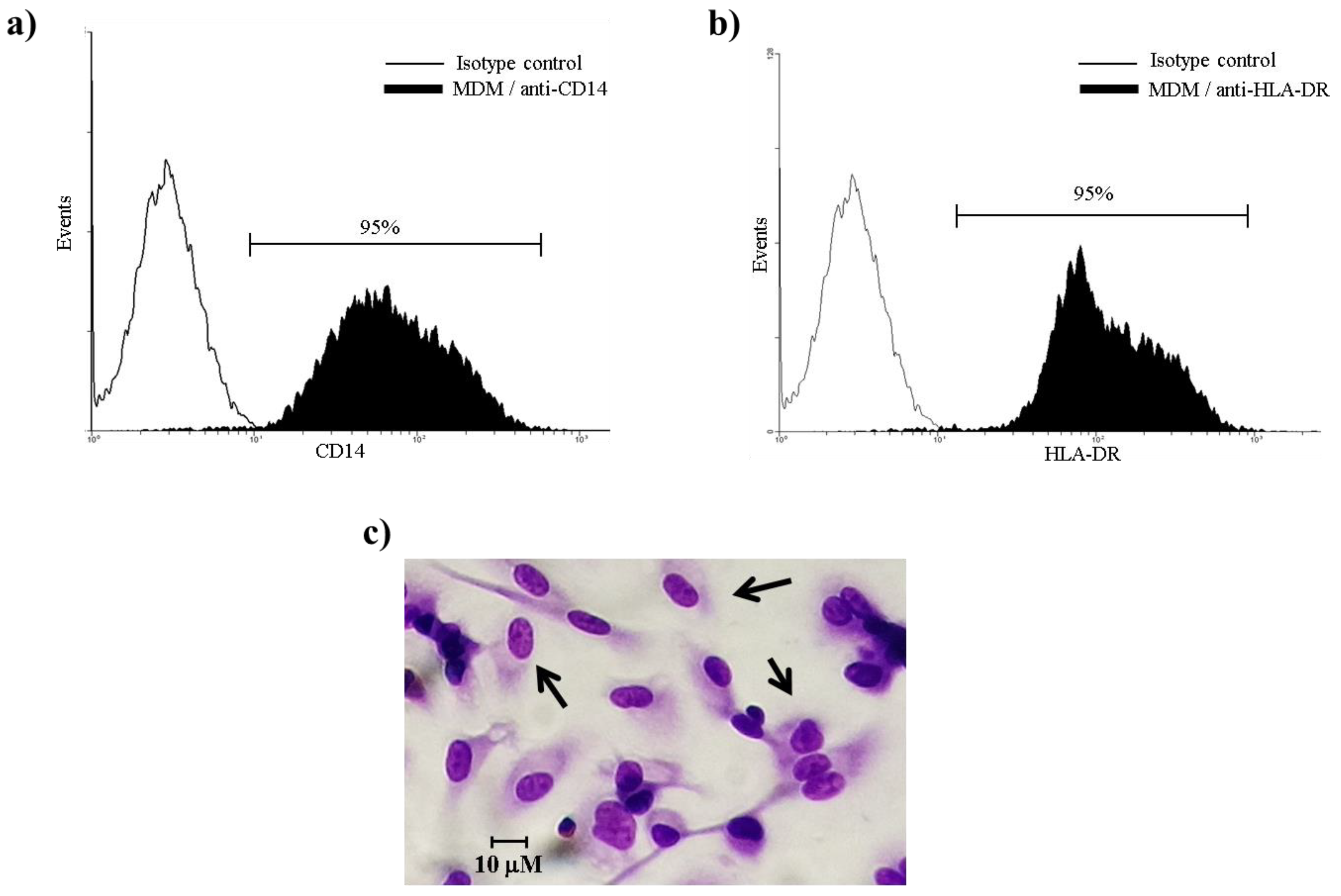 Microorganisms 08 00079 g001