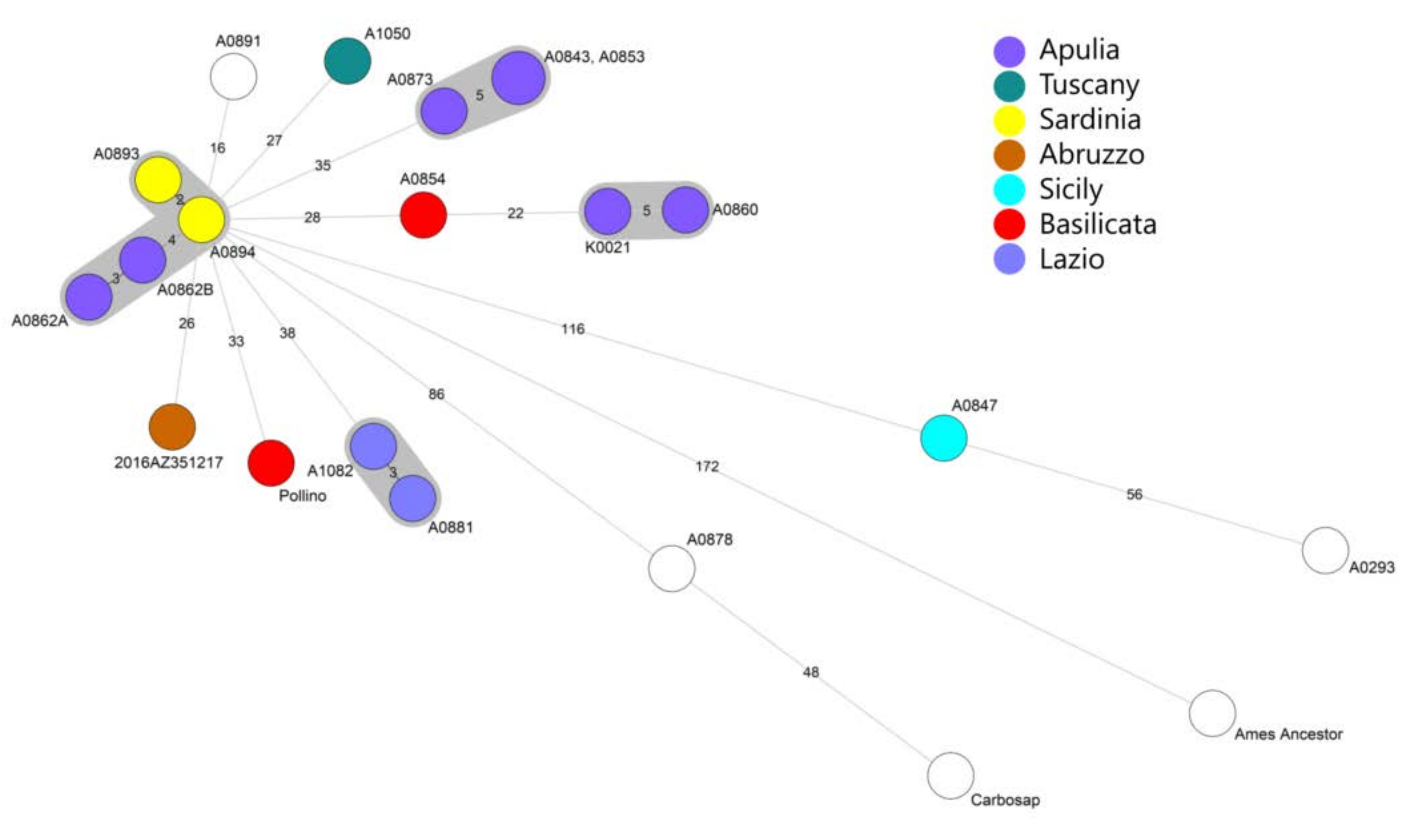 Microorganisms 08 00087 g002