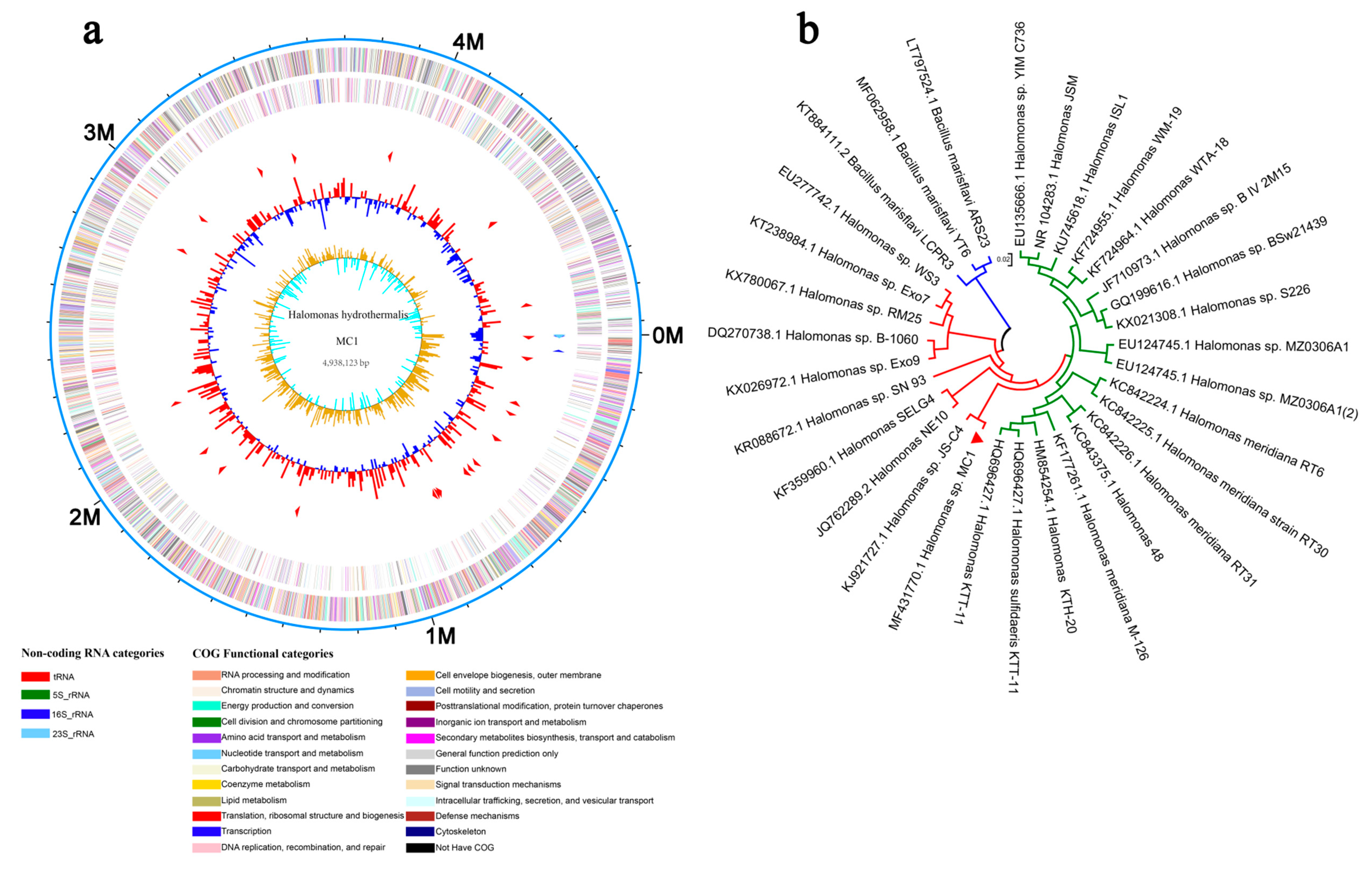 Microorganisms 08 00088 g001