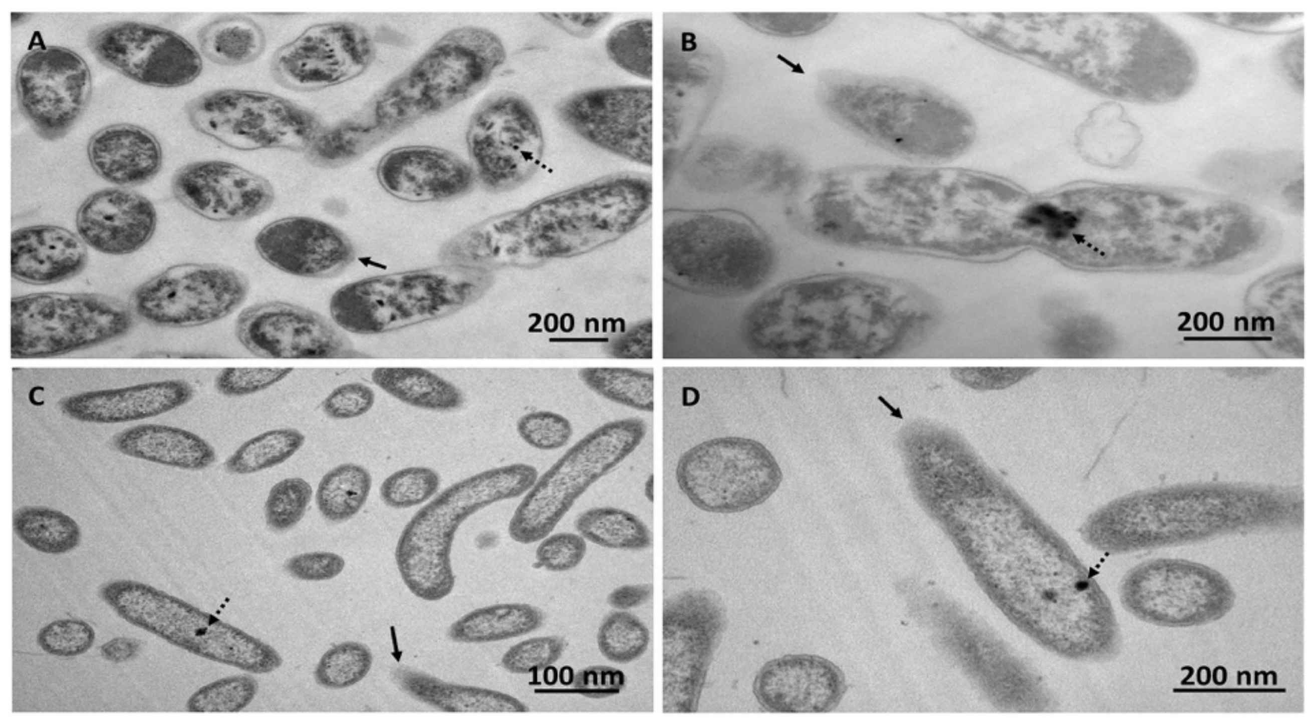 Microorganisms 08 00092 g004 Microorganisms 08 00092 g004