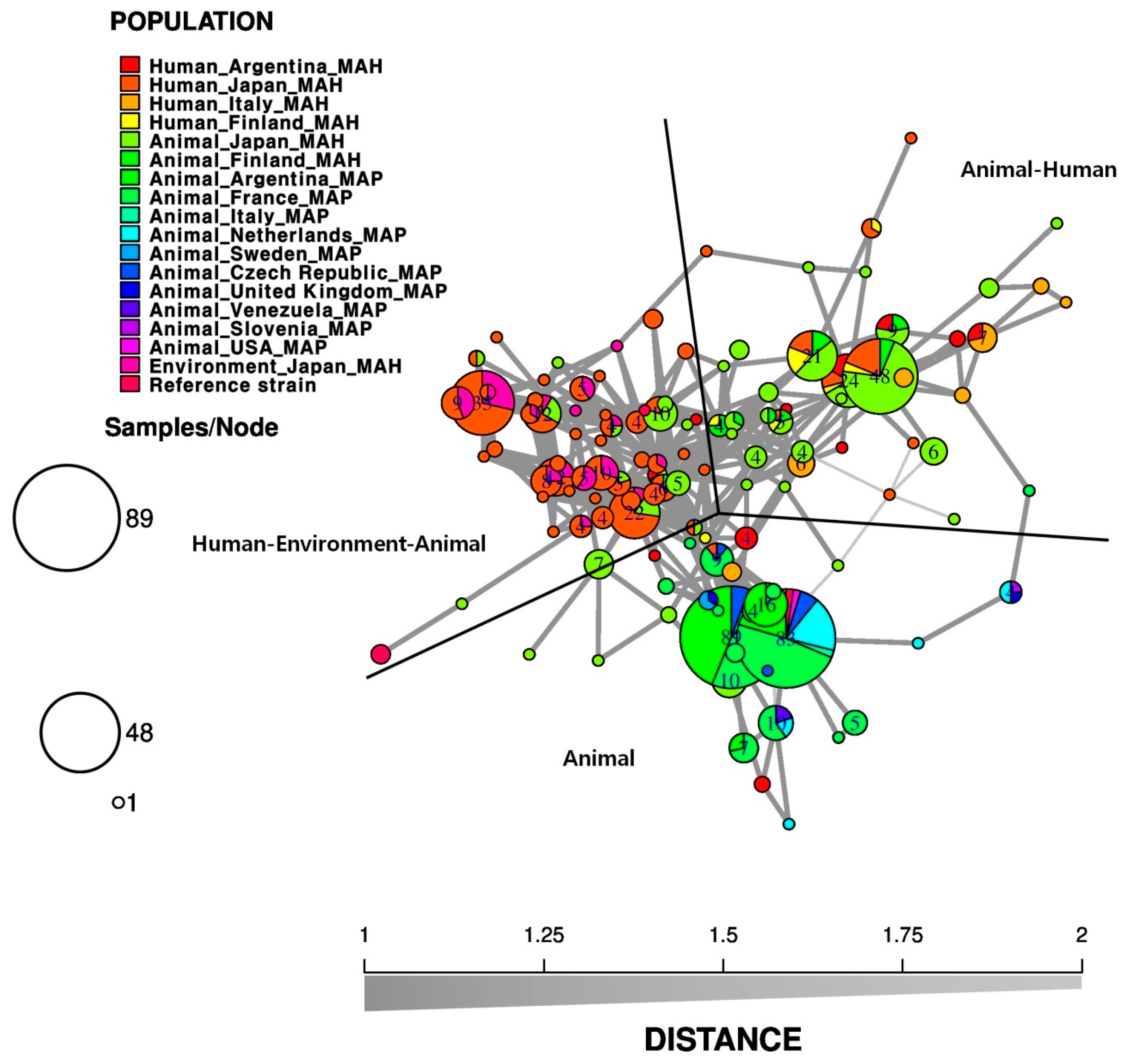 Microorganisms 08 00098 g001