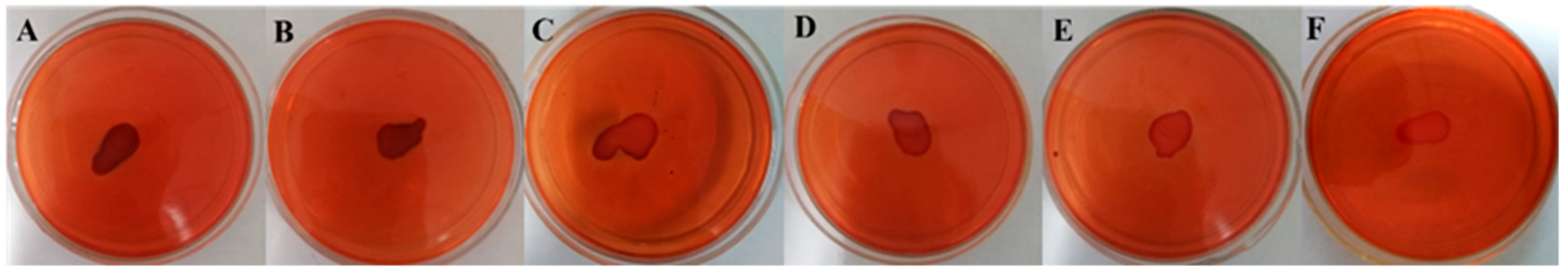 Microorganisms 08 00099 g004 Microorganisms 08 00099 g004