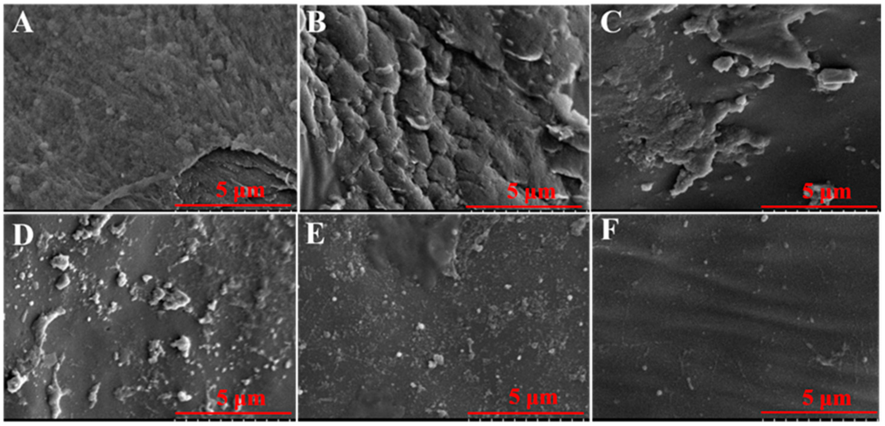 Microorganisms 08 00099 g008 Microorganisms 08 00099 g008