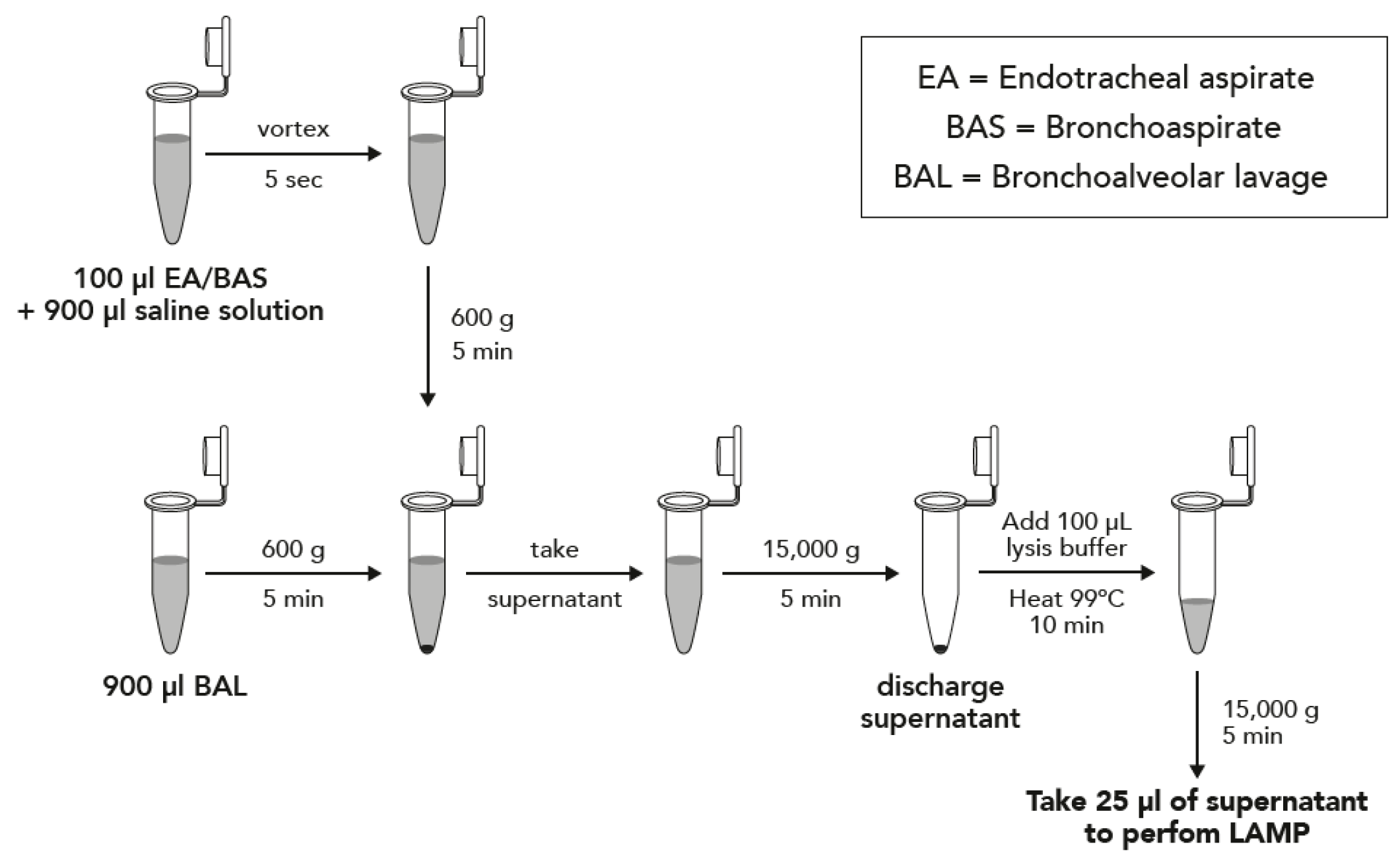 Microorganisms 08 00103 g001