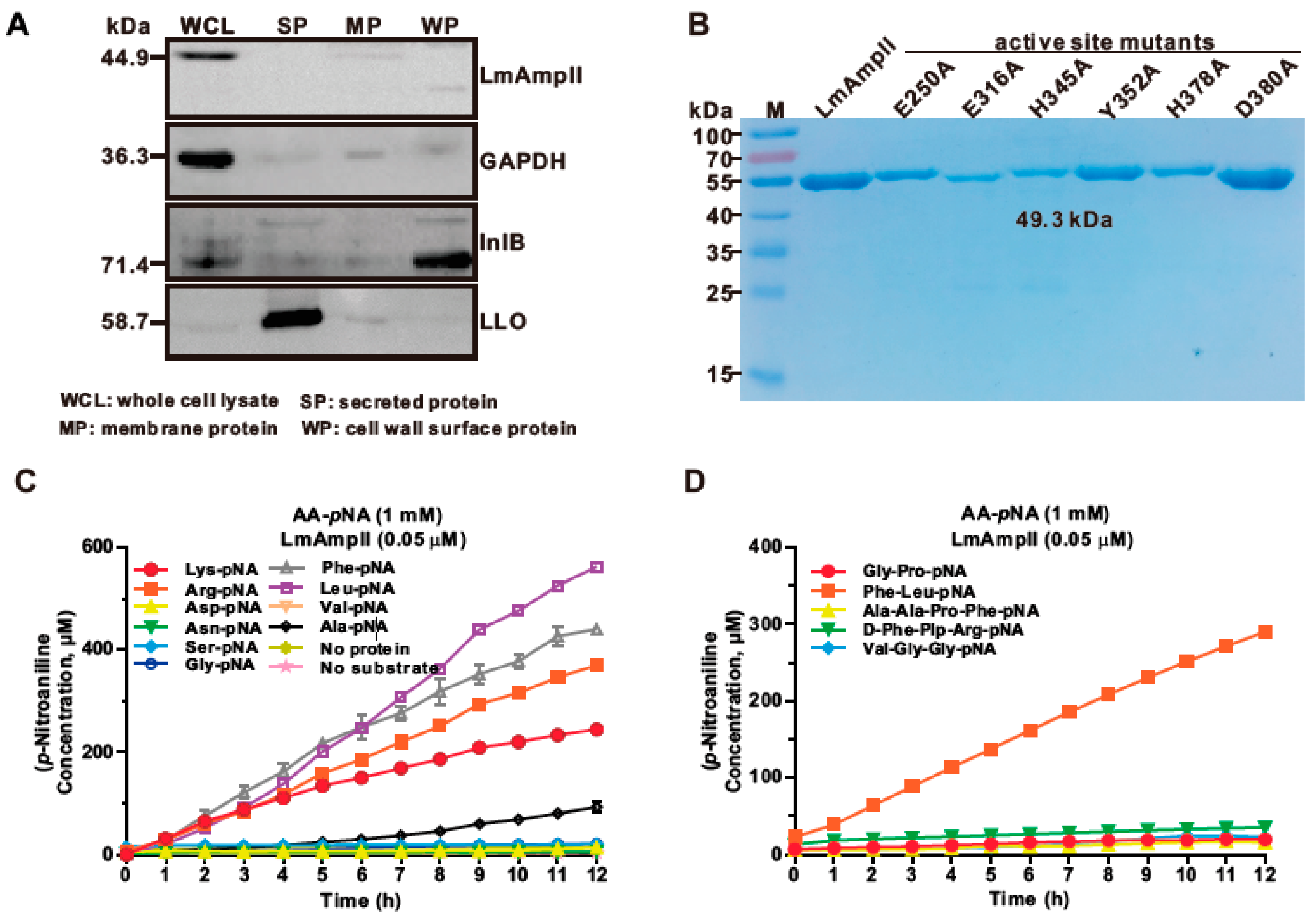 Microorganisms 08 00110 g001a Microorganisms 08 00110 g001a