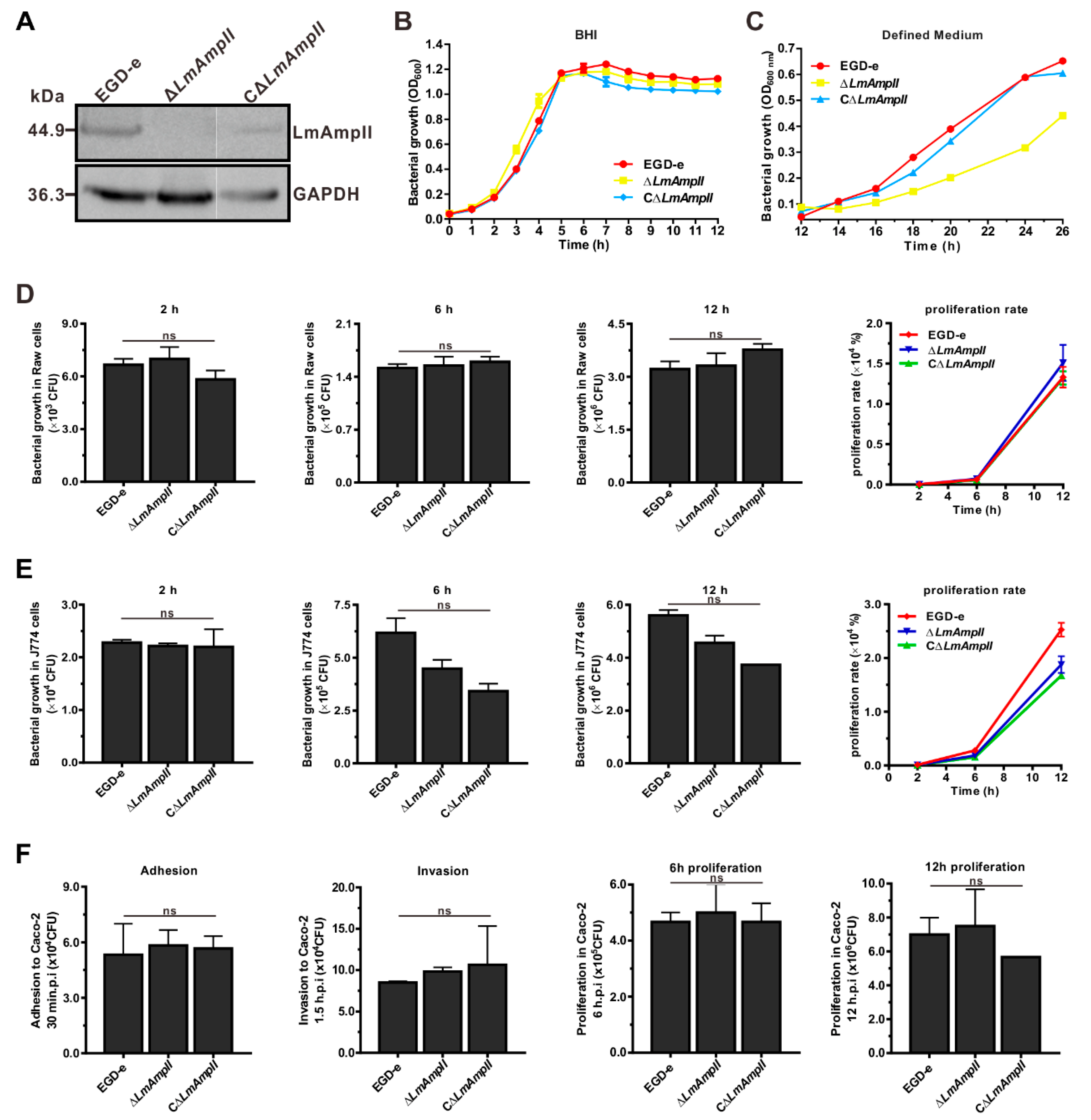 Microorganisms 08 00110 g004 Microorganisms 08 00110 g004