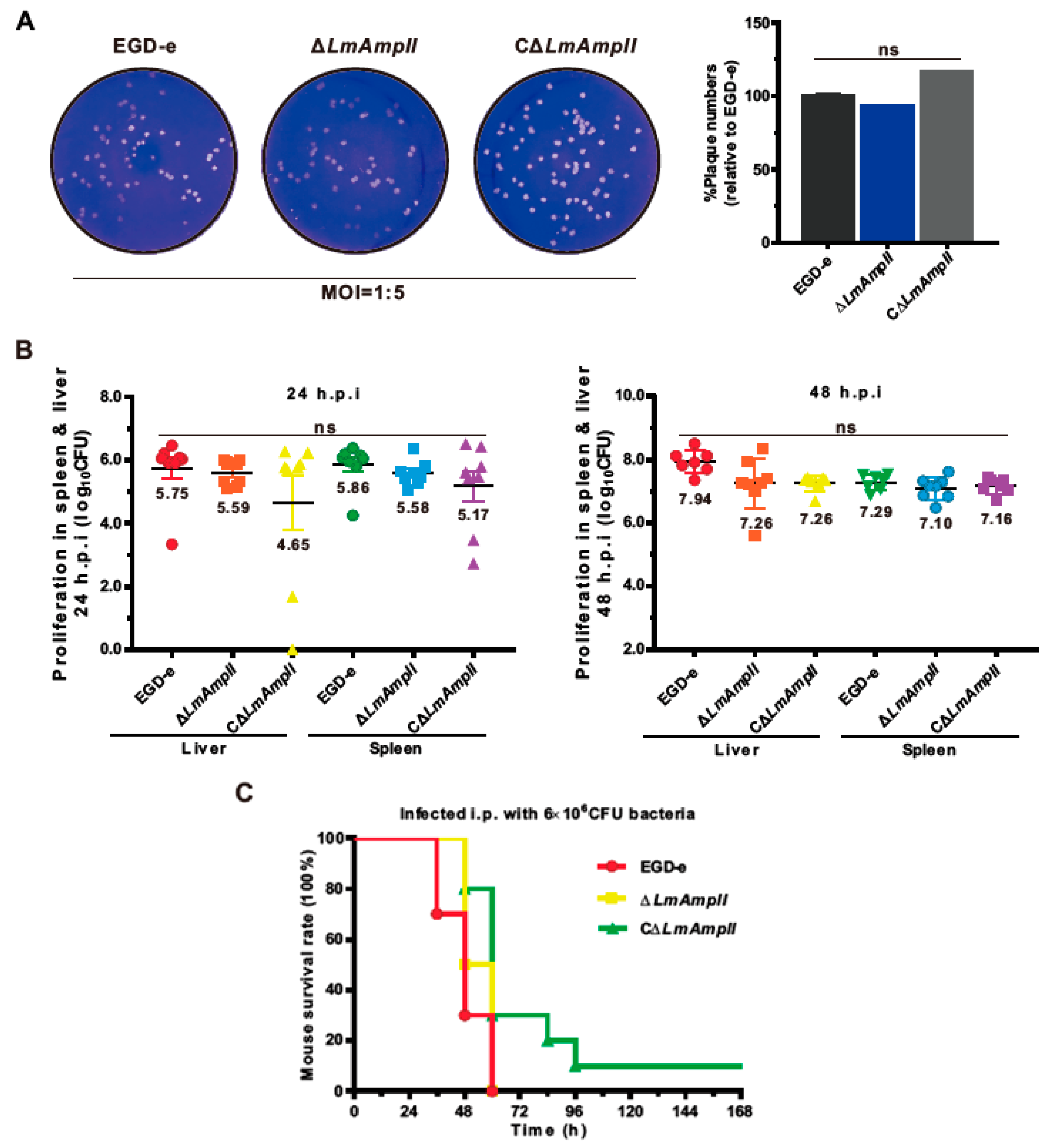 Microorganisms 08 00110 g005 Microorganisms 08 00110 g005