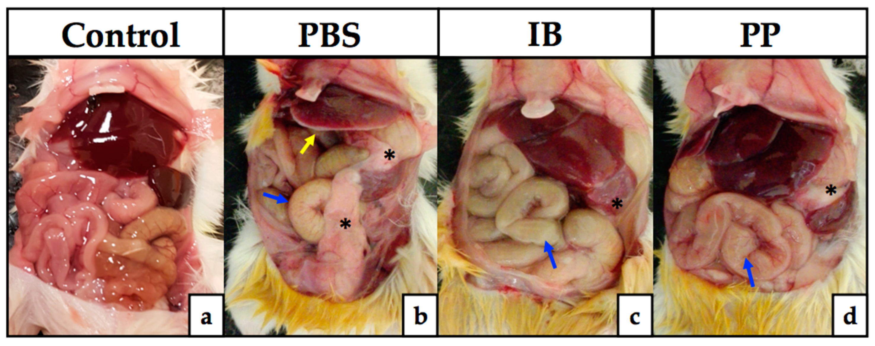 Microorganisms 08 00113 g001 Microorganisms 08 00113 g001