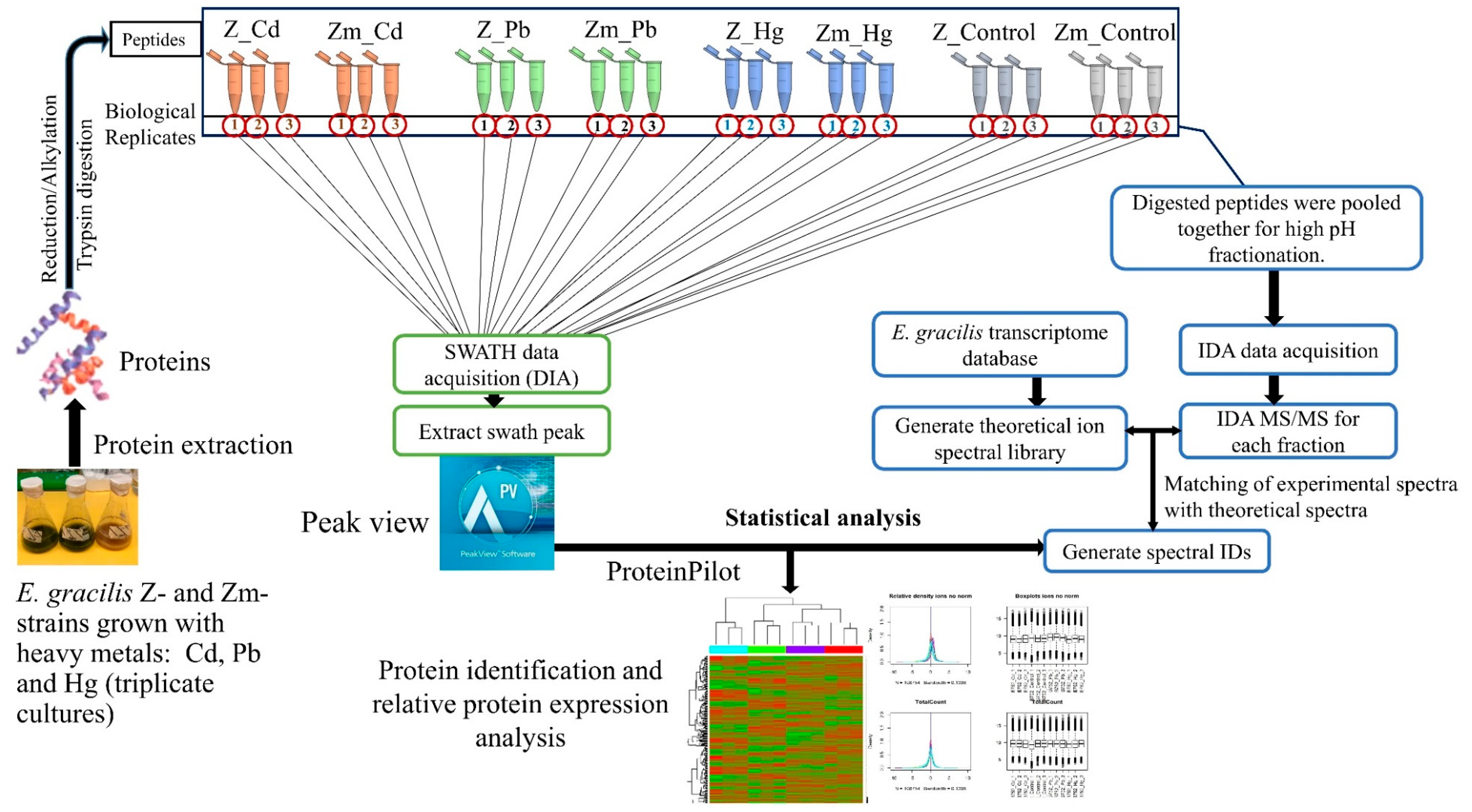 Microorganisms 08 00115 g001