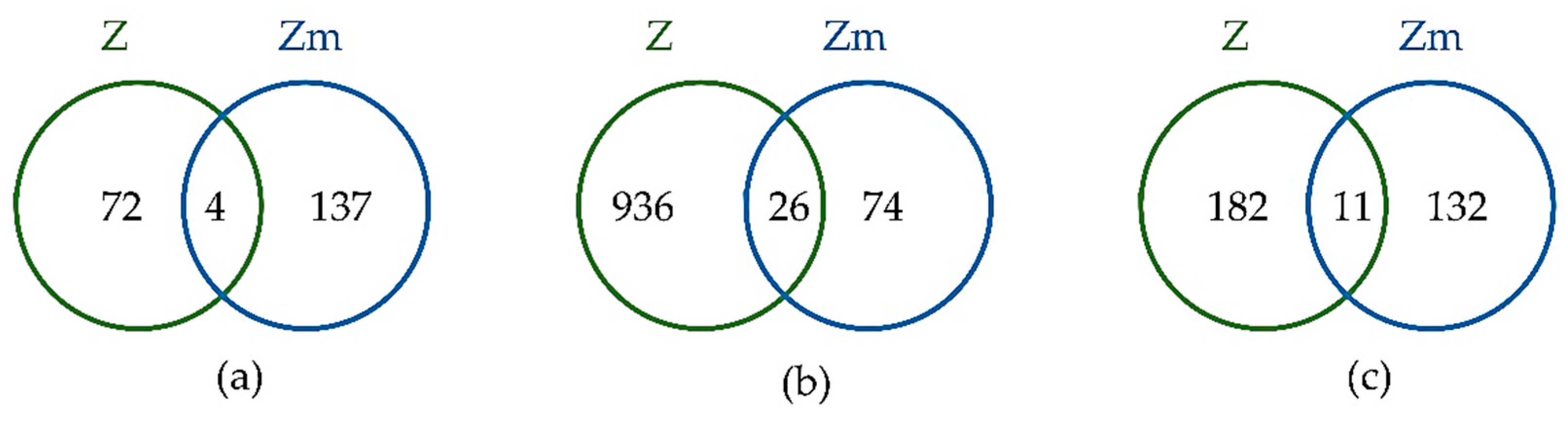 Microorganisms 08 00115 g006