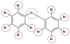 Microorganisms 08 00122 i015 Microorganisms 08 00122 i015