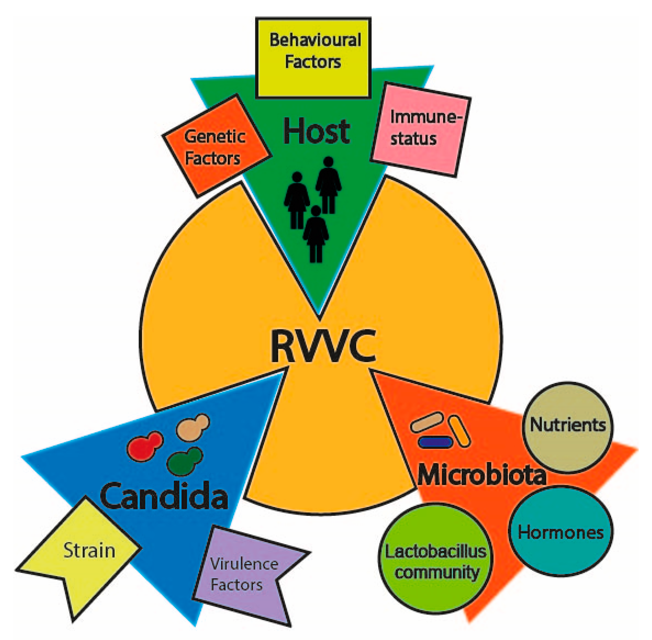 Microorganisms 08 00144 g001