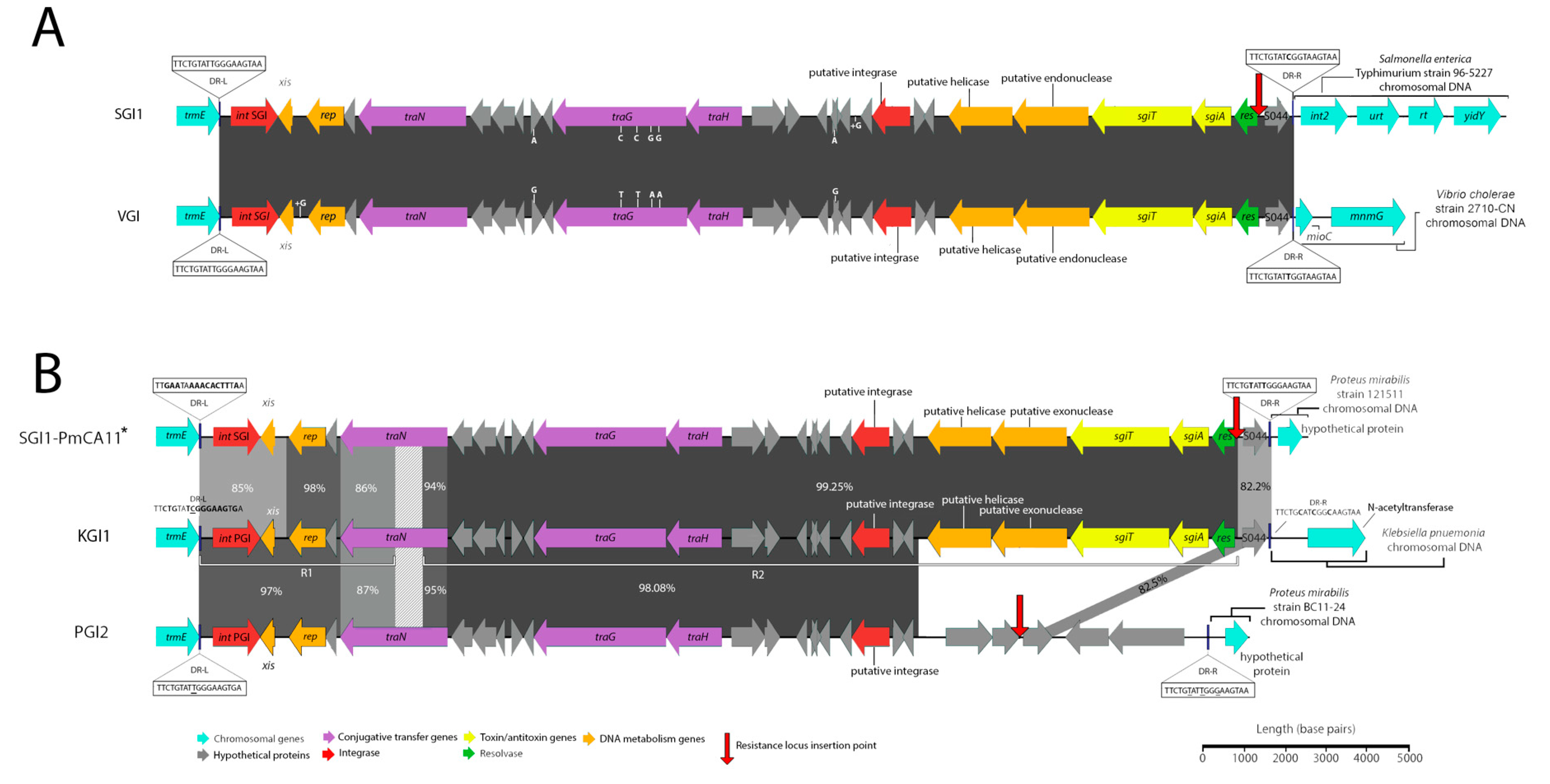 Microorganisms 08 00161 g001
