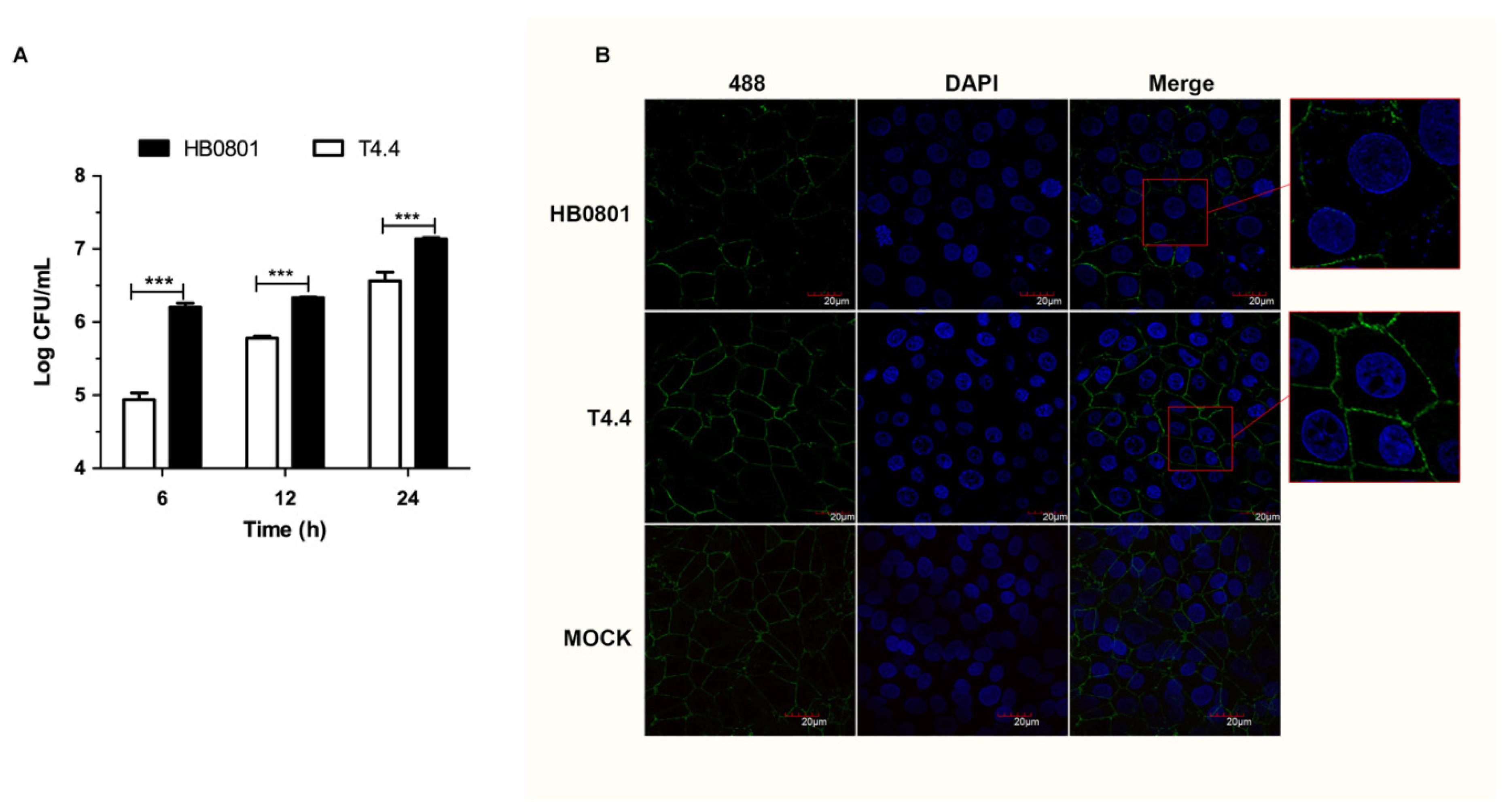 Microorganisms 08 00164 g005