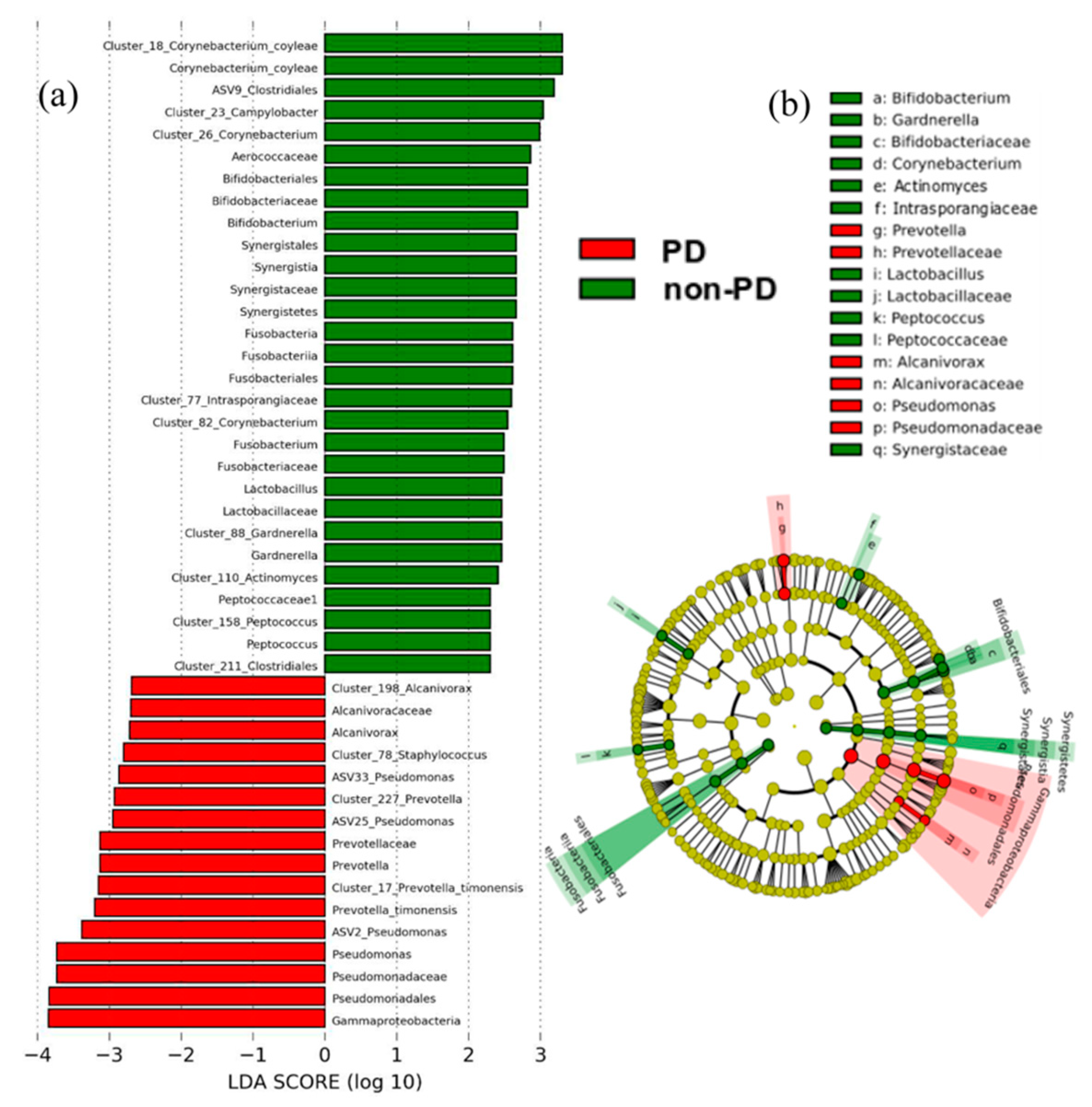 Microorganisms 08 00173 g002