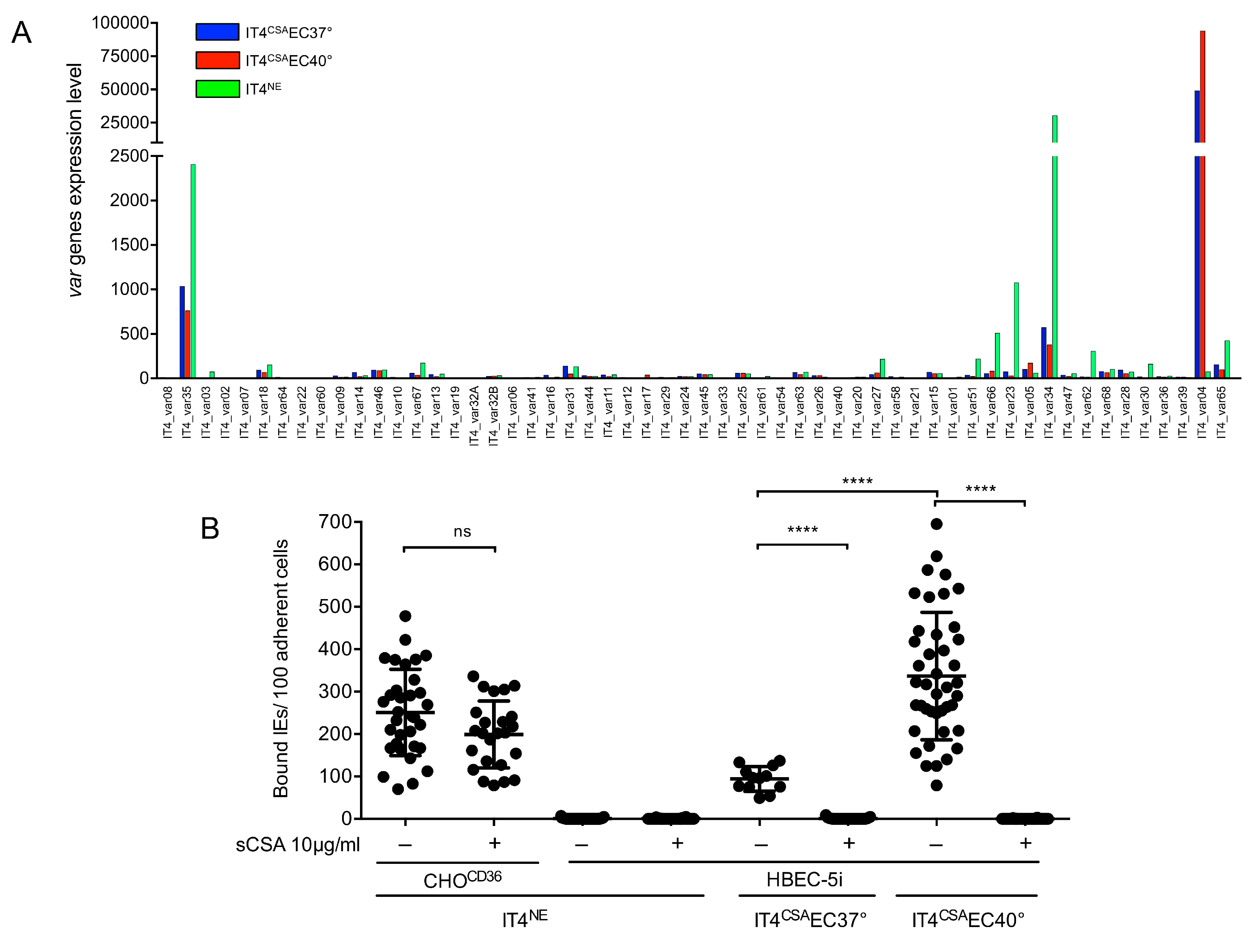 Microorganisms 08 00174 g001