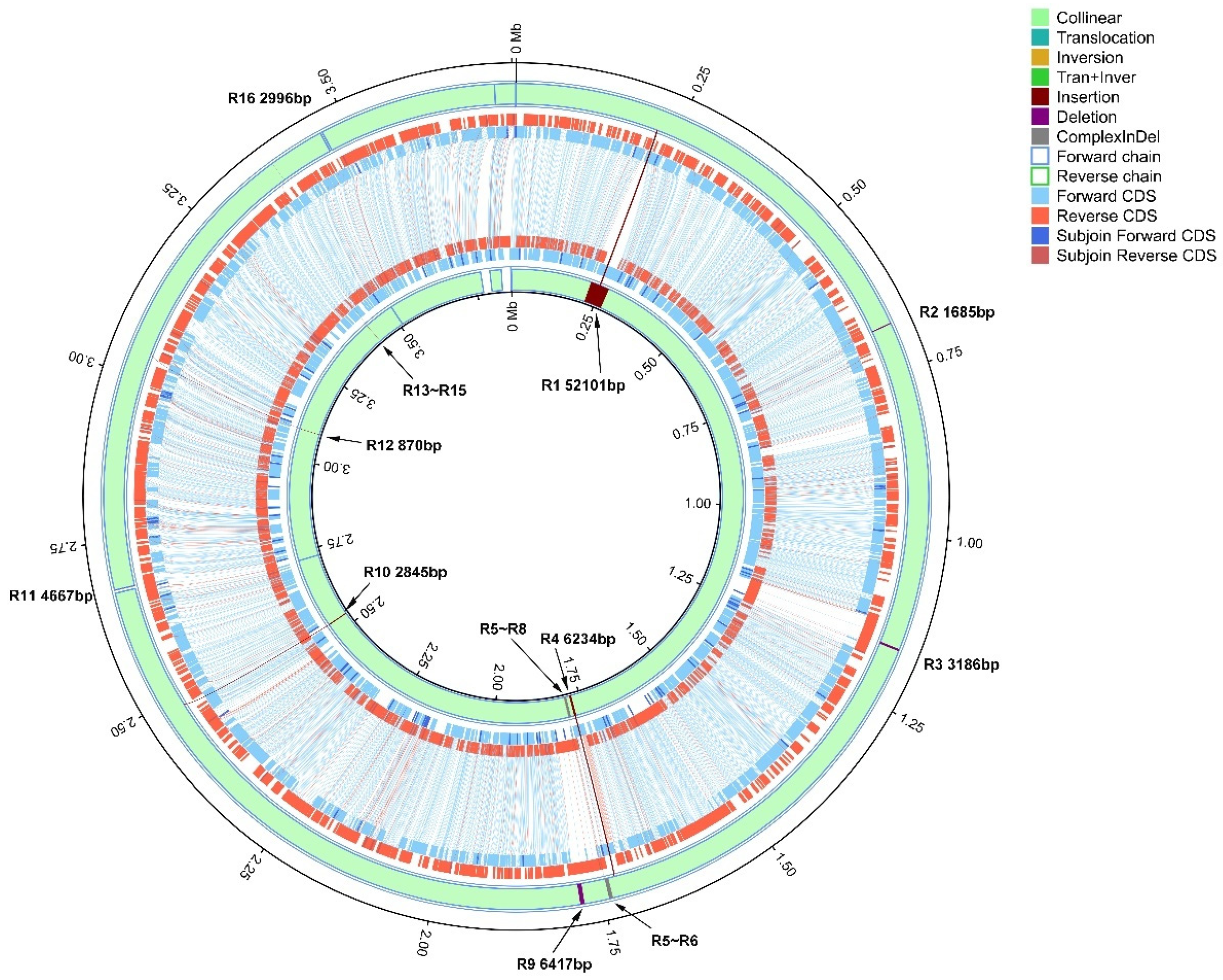 Microorganisms 08 00182 g004