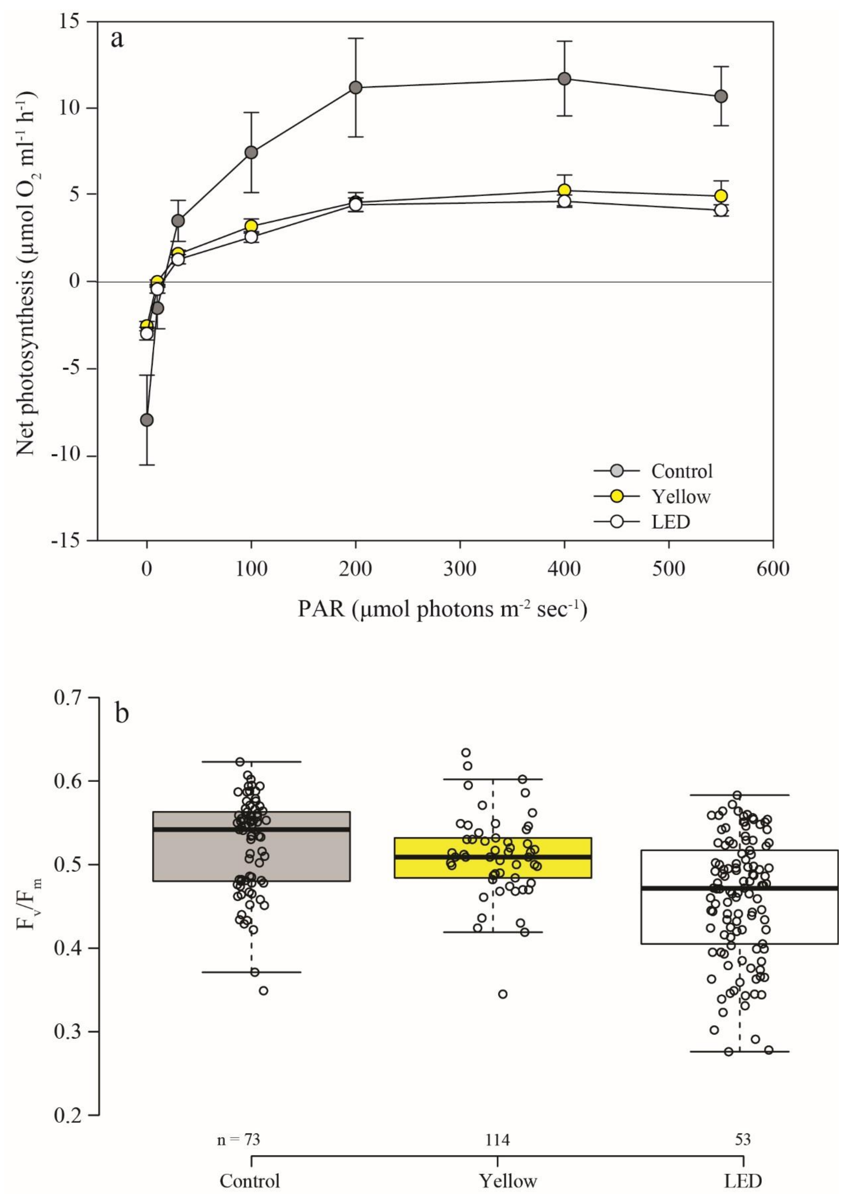 Microorganisms 08 00193 g004