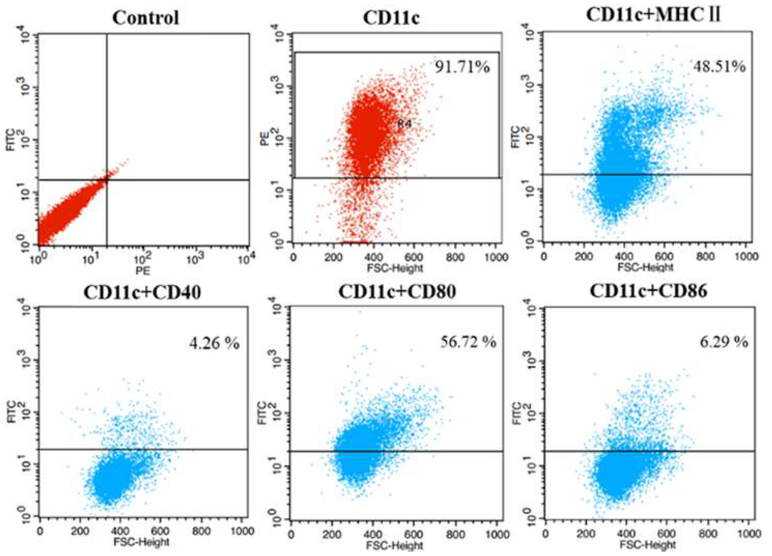 Microorganisms 08 00195 g001