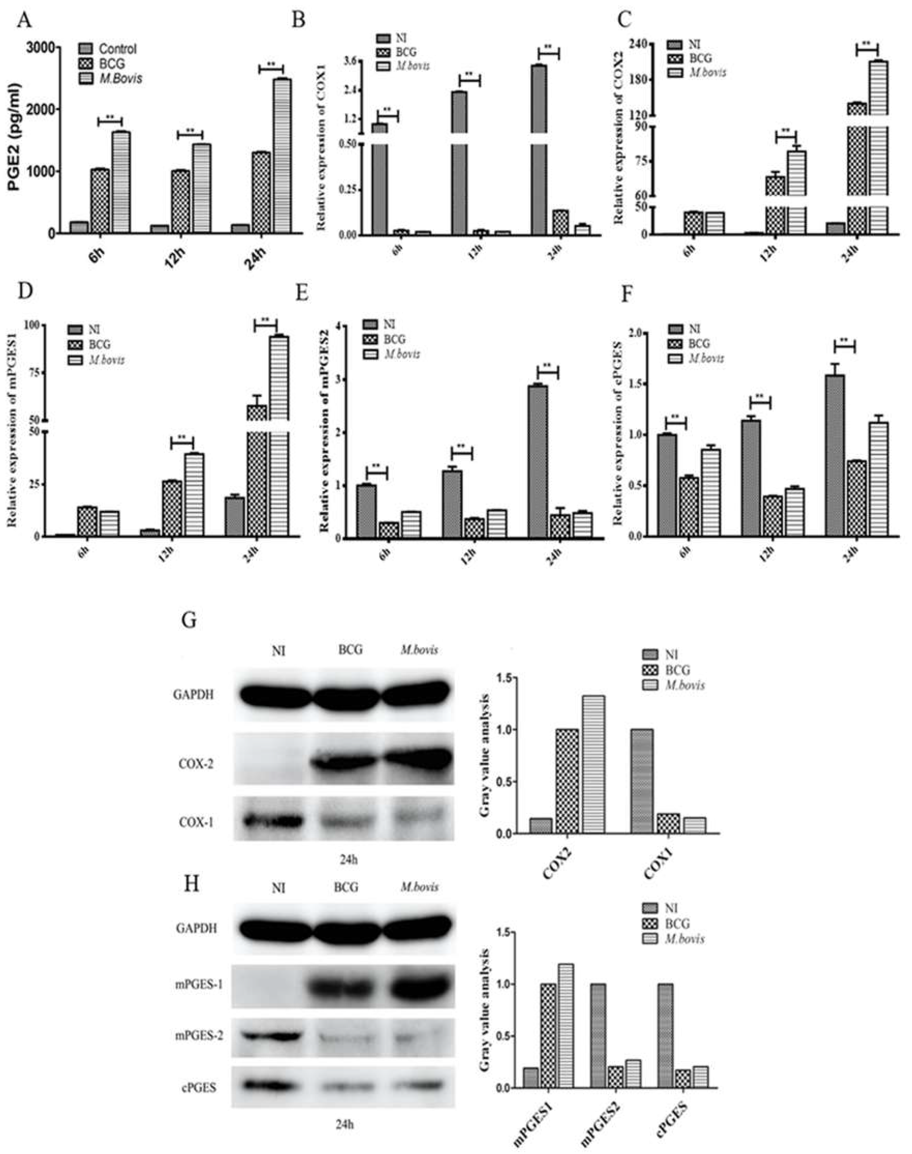 Microorganisms 08 00195 g002