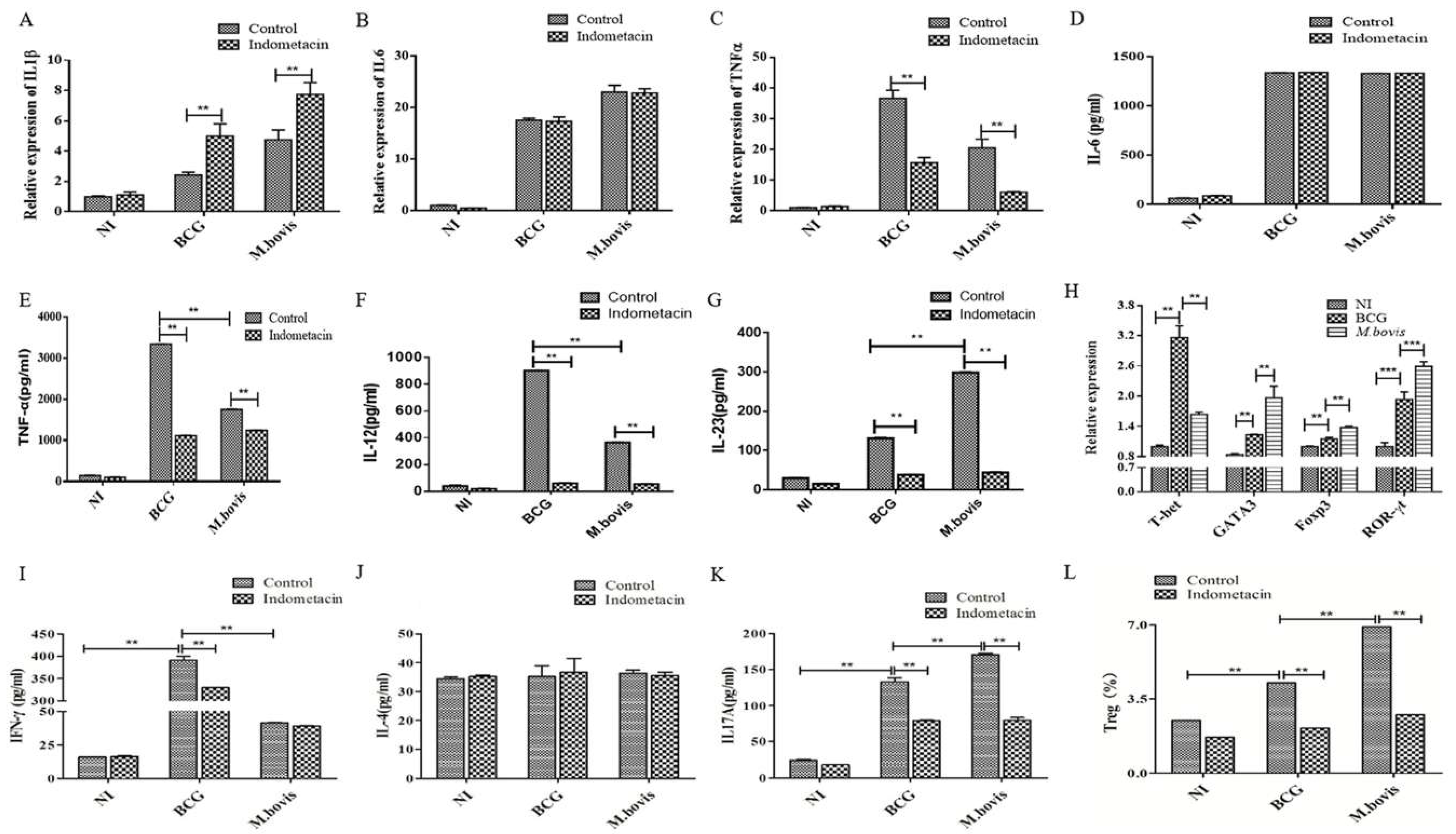 Microorganisms 08 00195 g004
