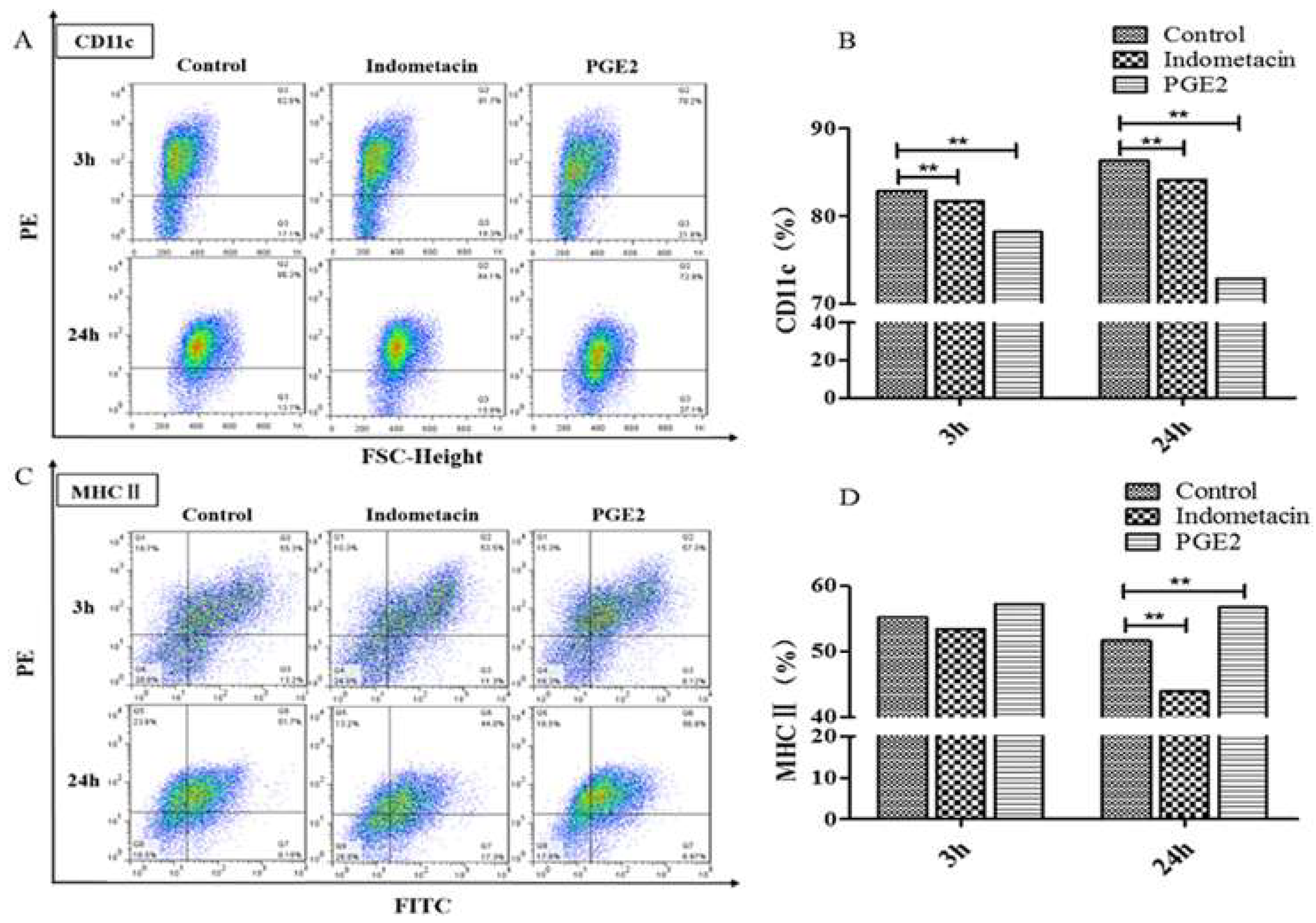 Microorganisms 08 00195 g005