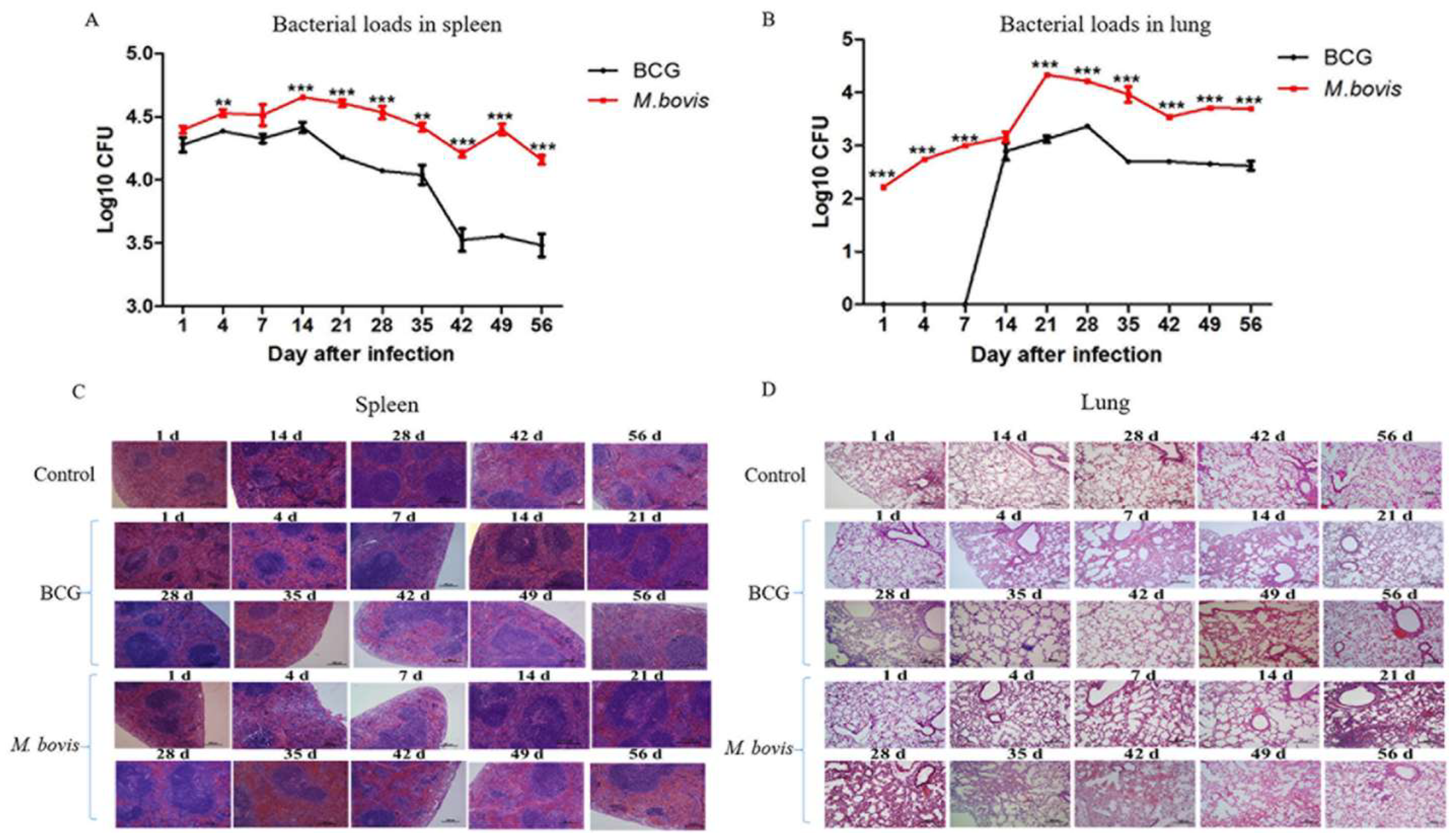Microorganisms 08 00195 g006