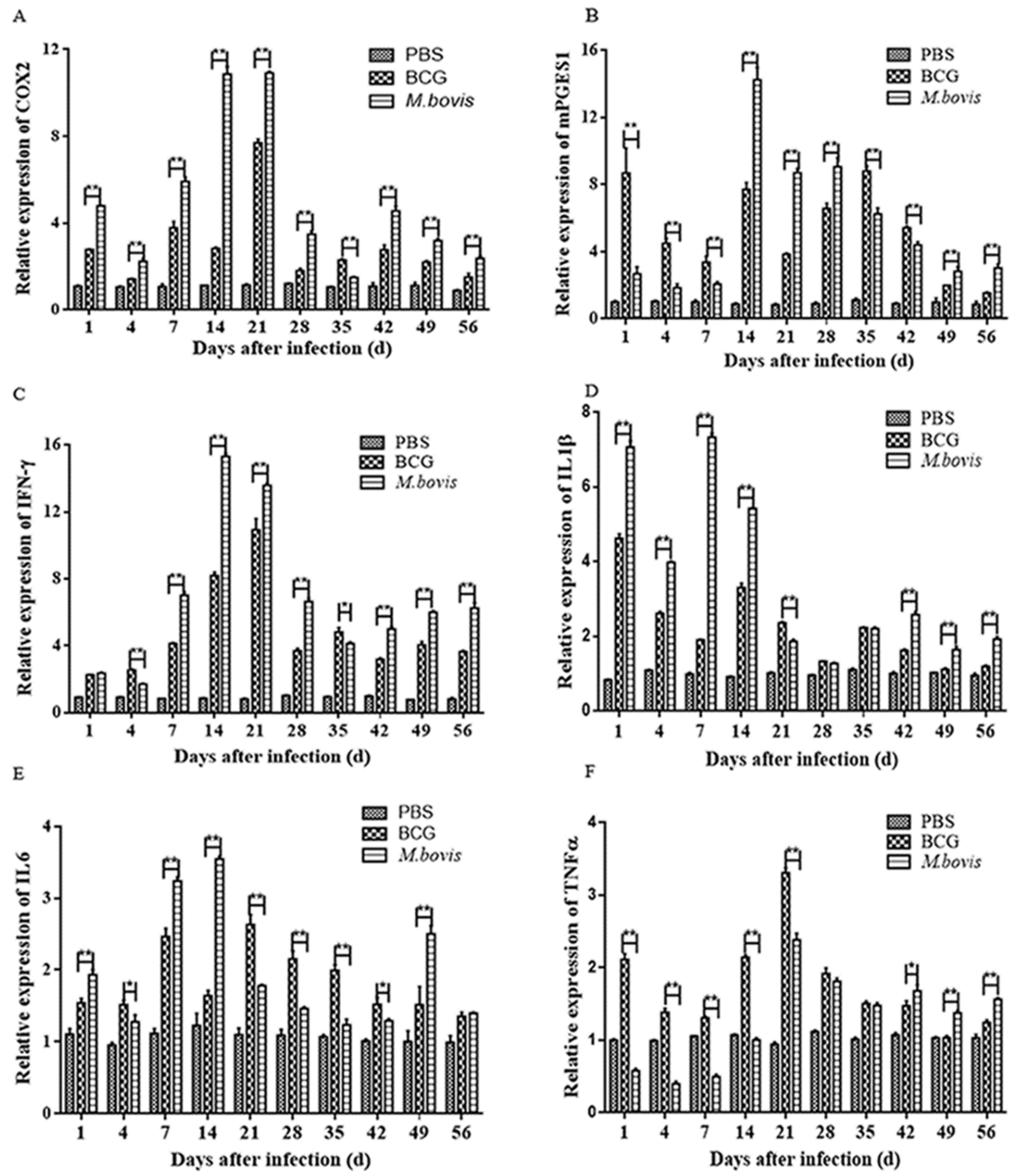 Microorganisms 08 00195 g007
