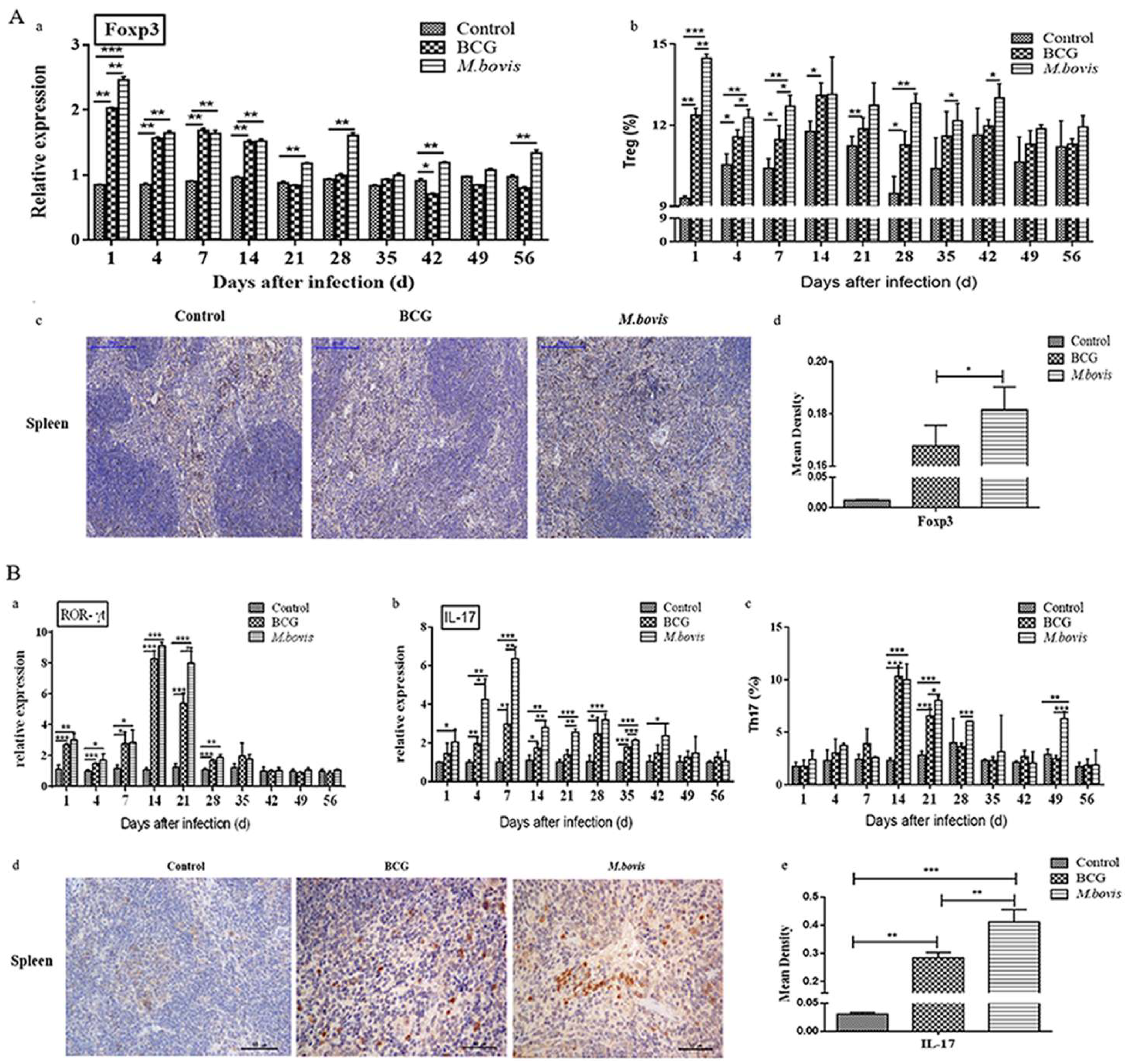Microorganisms 08 00195 g009