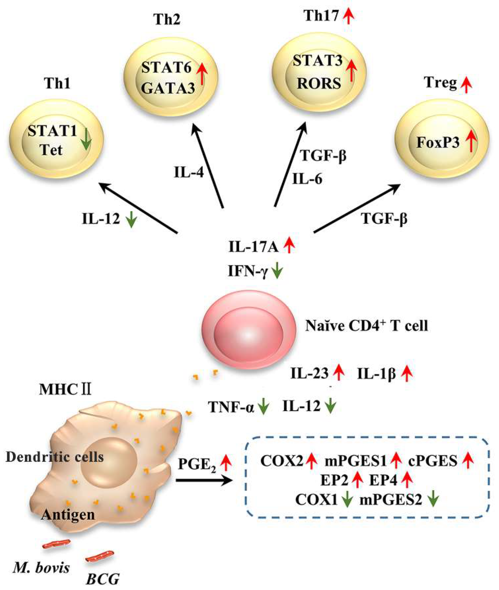 Microorganisms 08 00195 g010