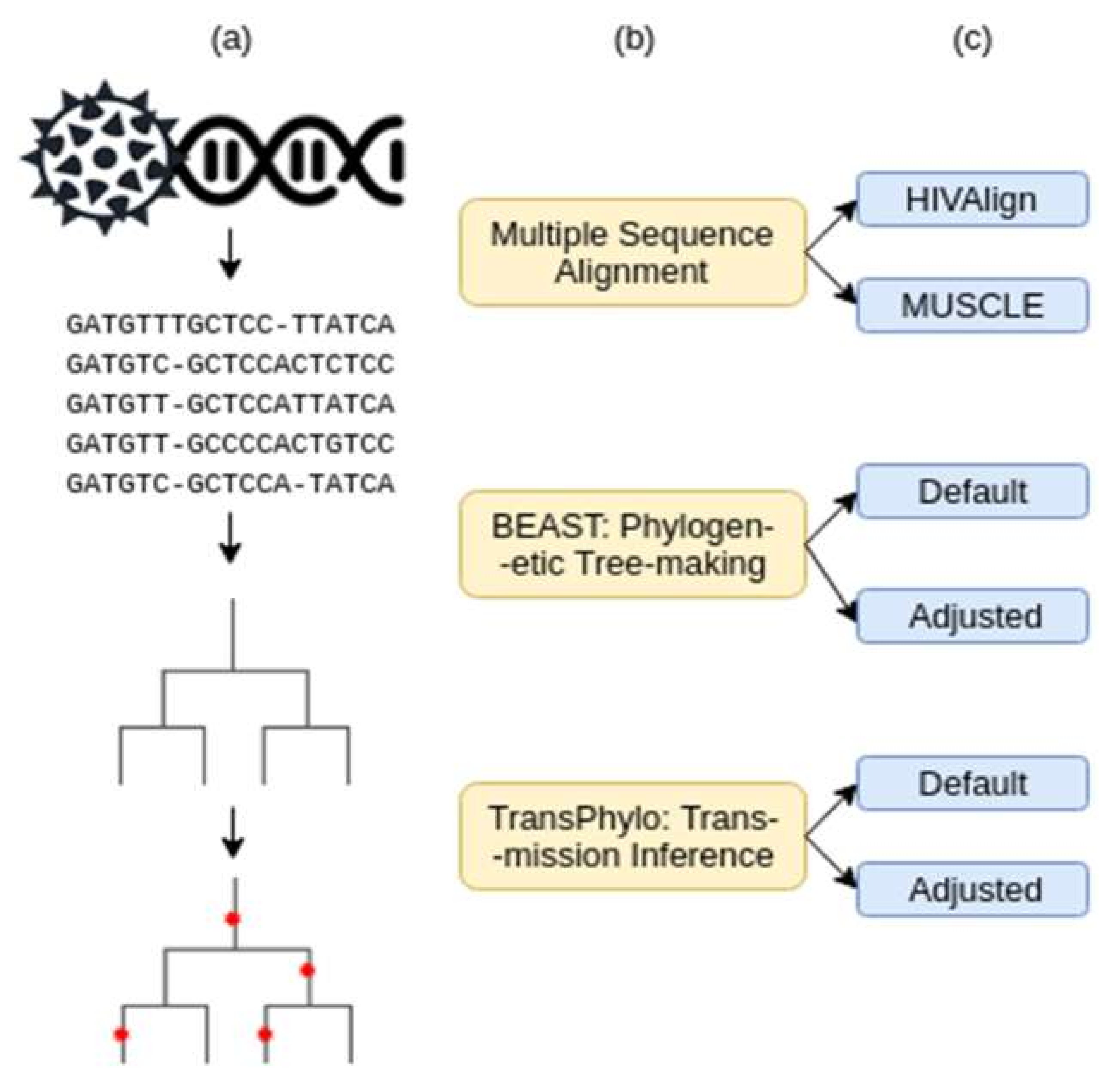 Microorganisms 08 00196 g001